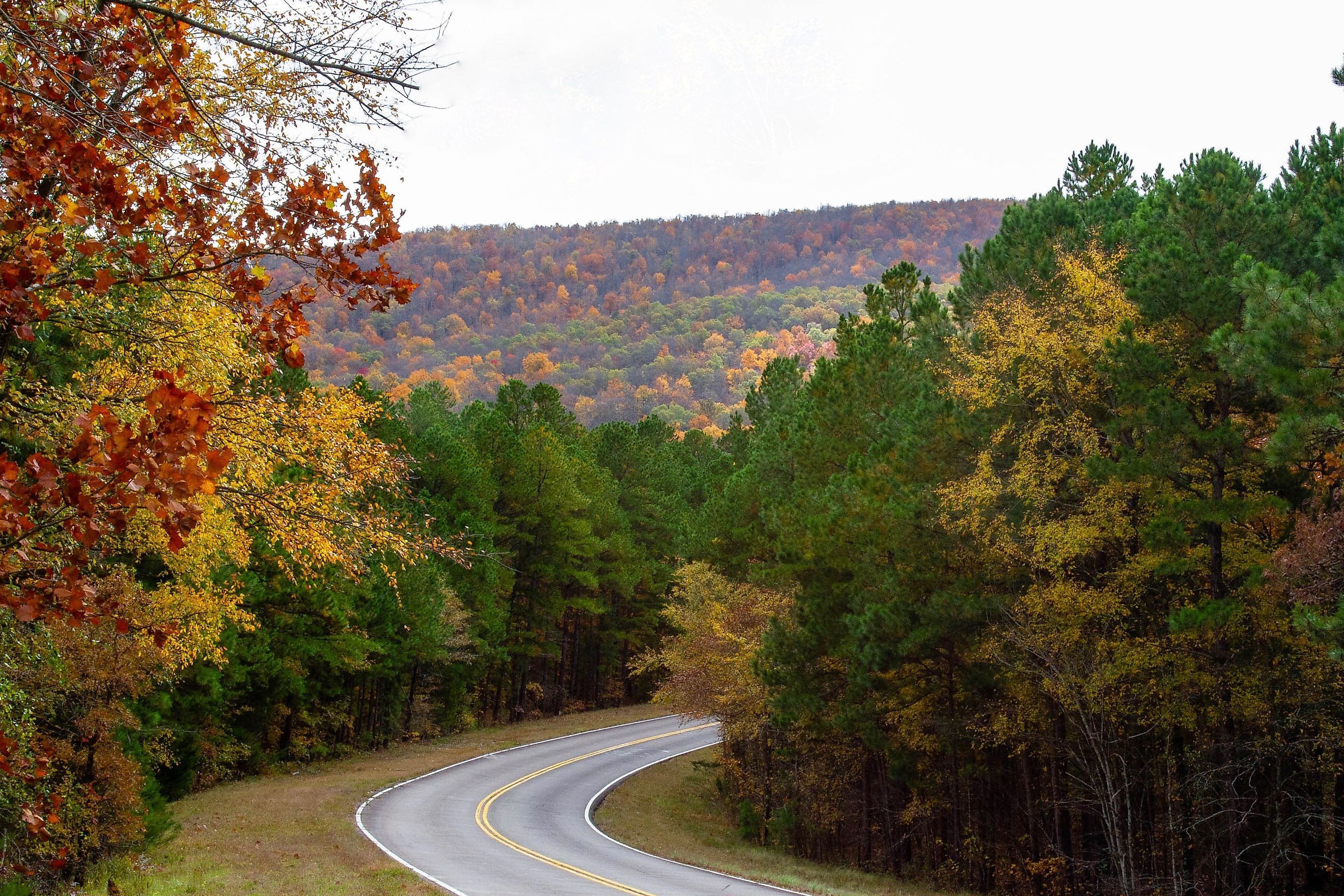 Talimena Scenic Byway in Oklahoma.
