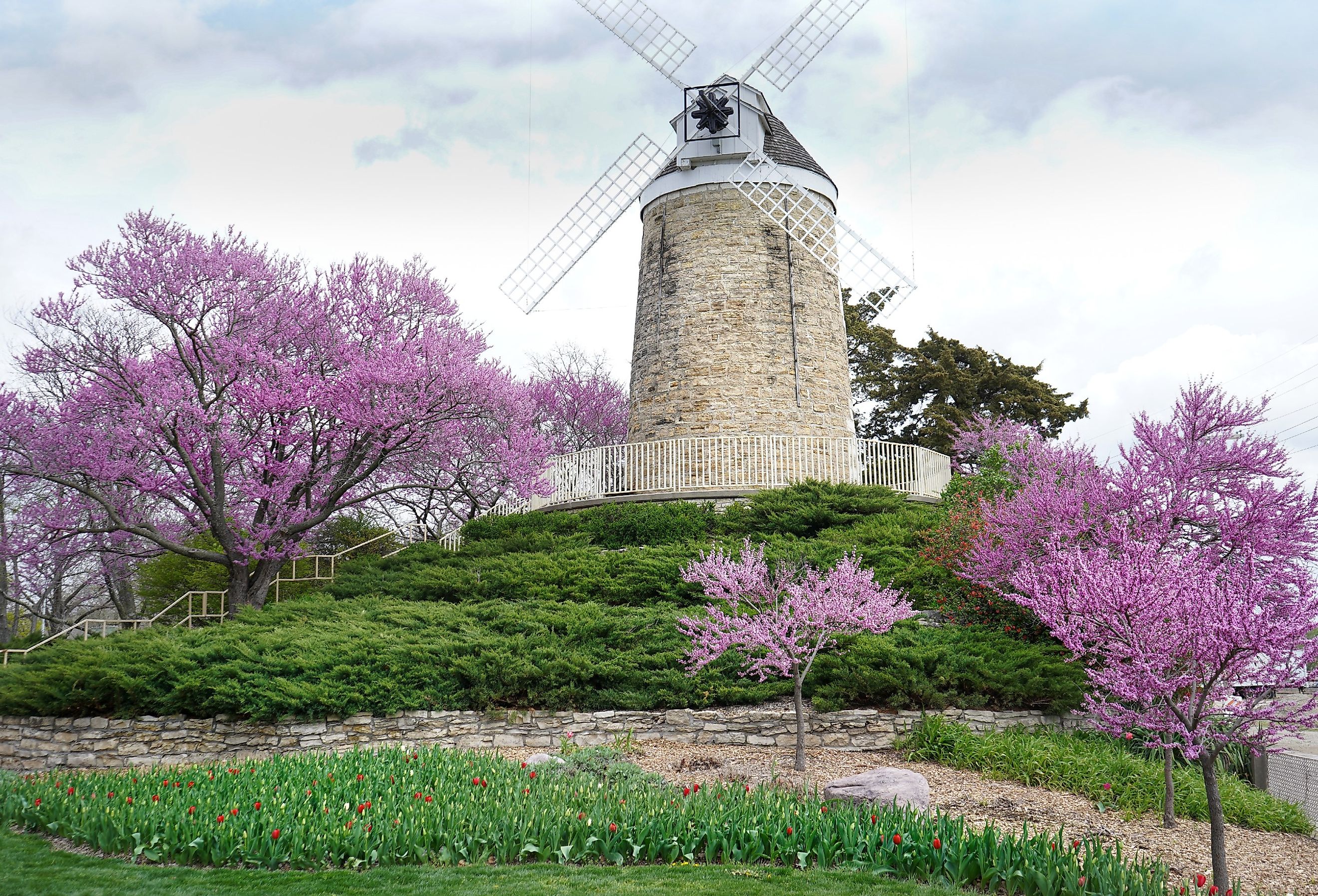 Windmill in Wamego City Park, Kansas with pink blossoms on trees.