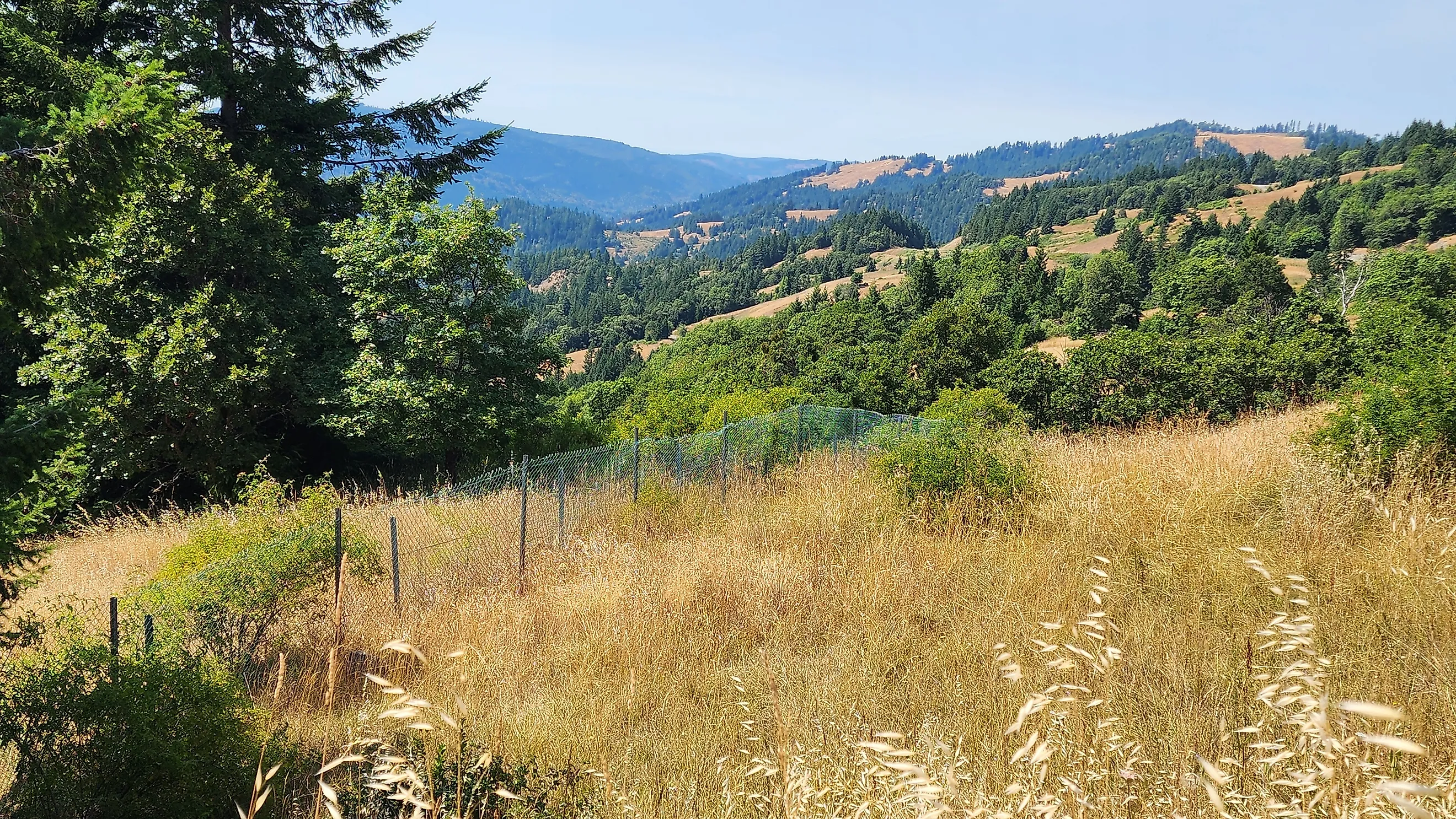 Roadside vista of rolling hills and forest lands of Humboldt County, California. 
