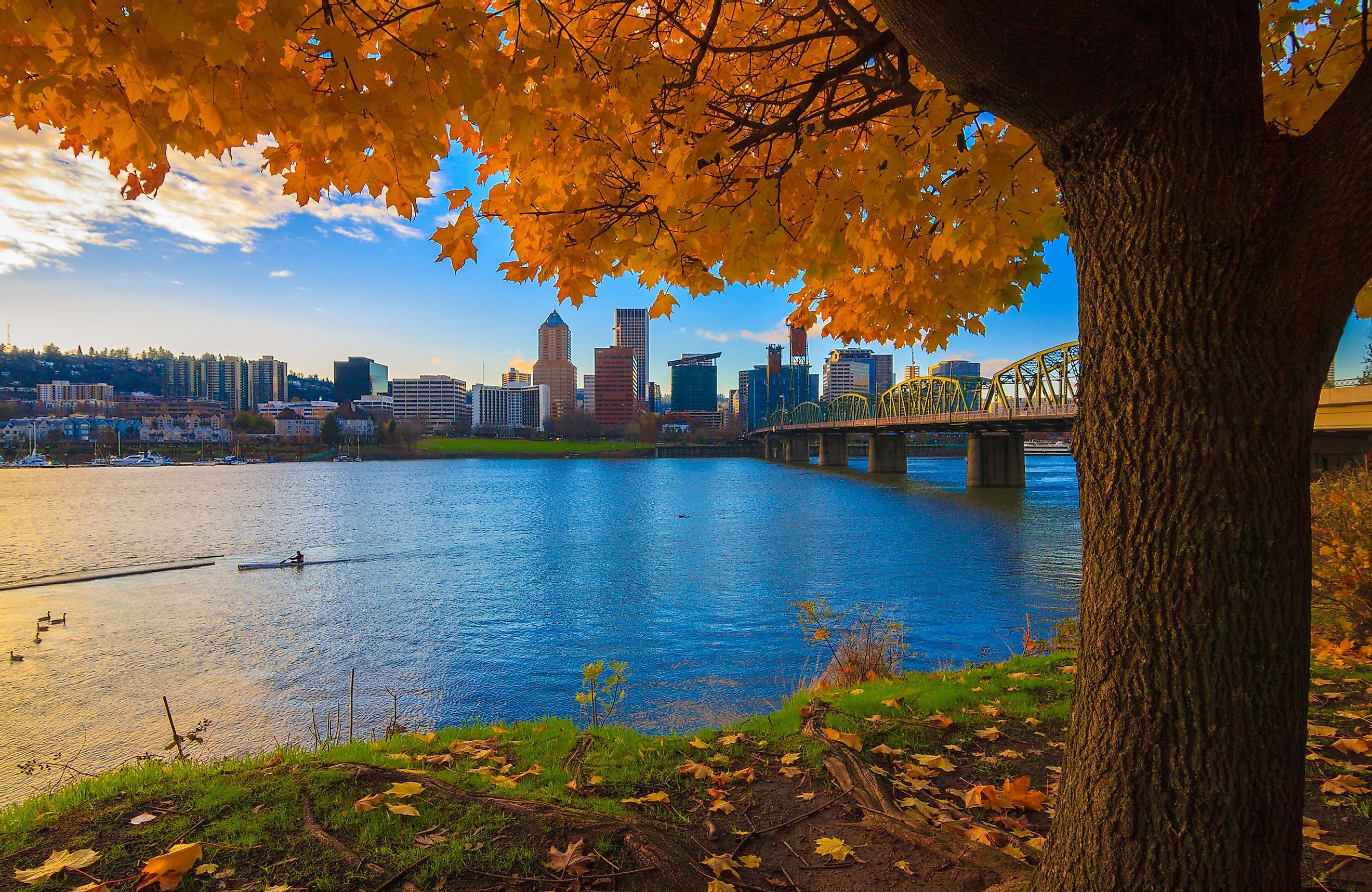 View of Portland, Oregon overlooking the Willamette River on a fall afternoon.