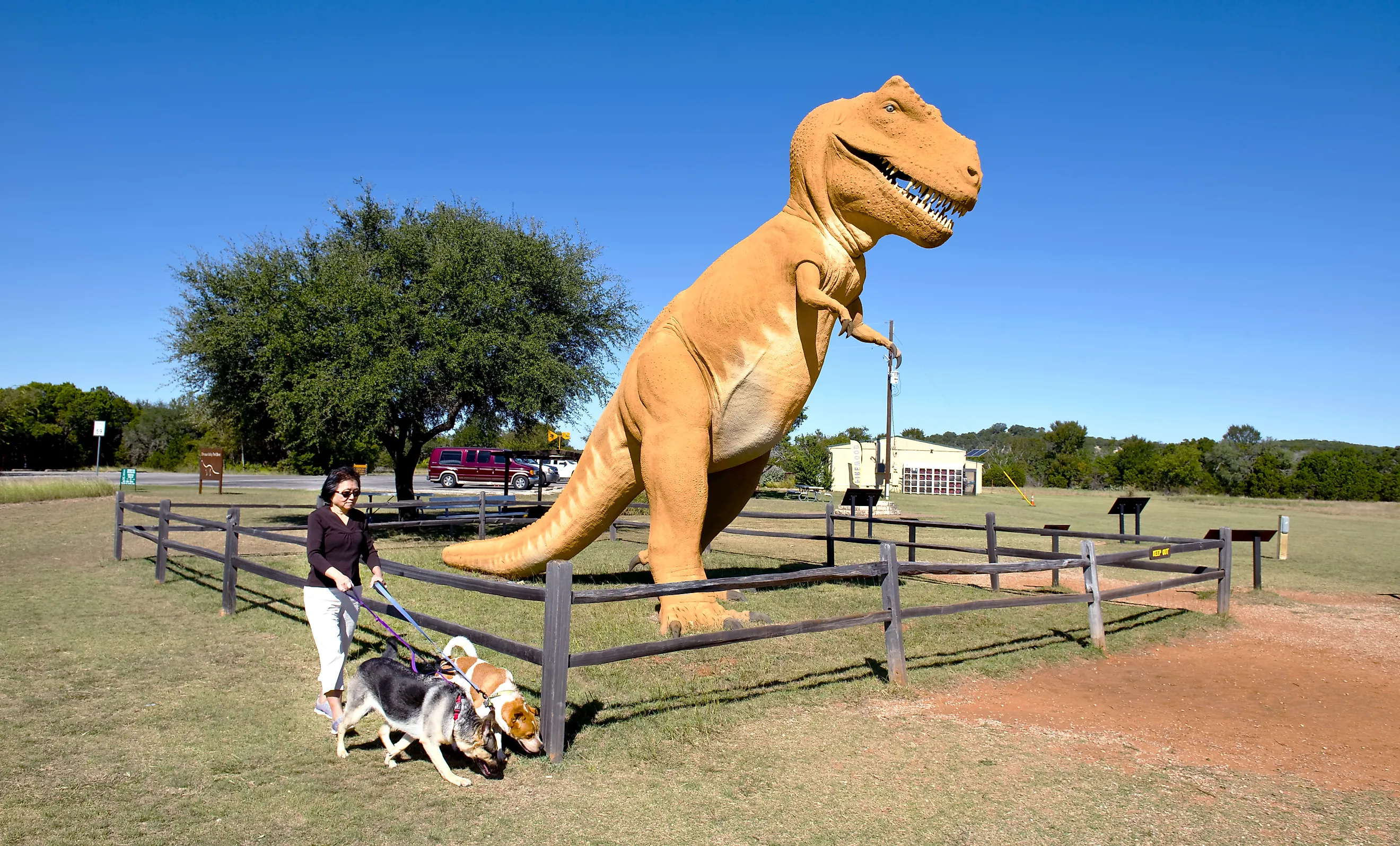 Dinosaur Valley State Park in Glen Rose, Texas. Image credit: W. Scott McGill / Shutterstock.com.
