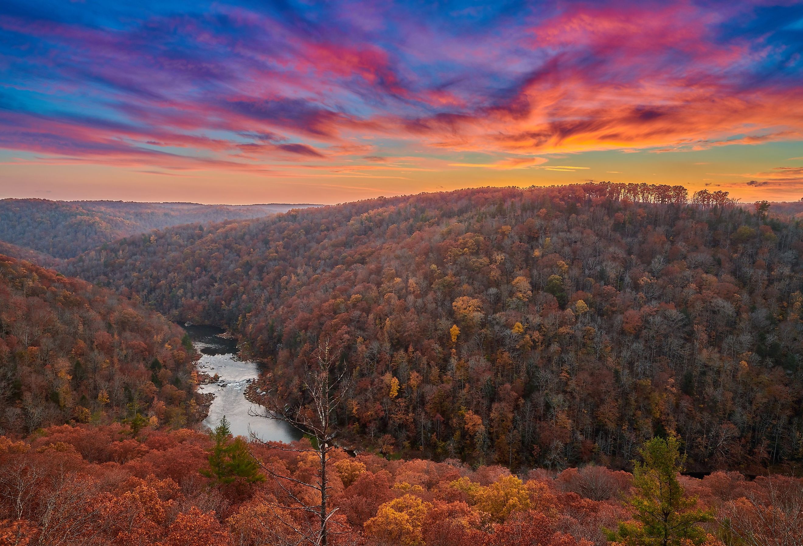 Autumn colors at East Rim Overlook Big South Fork National River and Recreation Area, Tennessee.