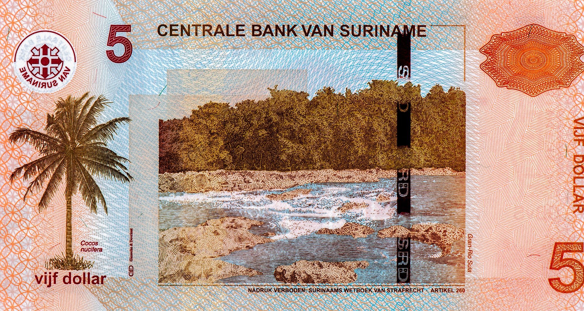 Surinamese dollar banknotes.