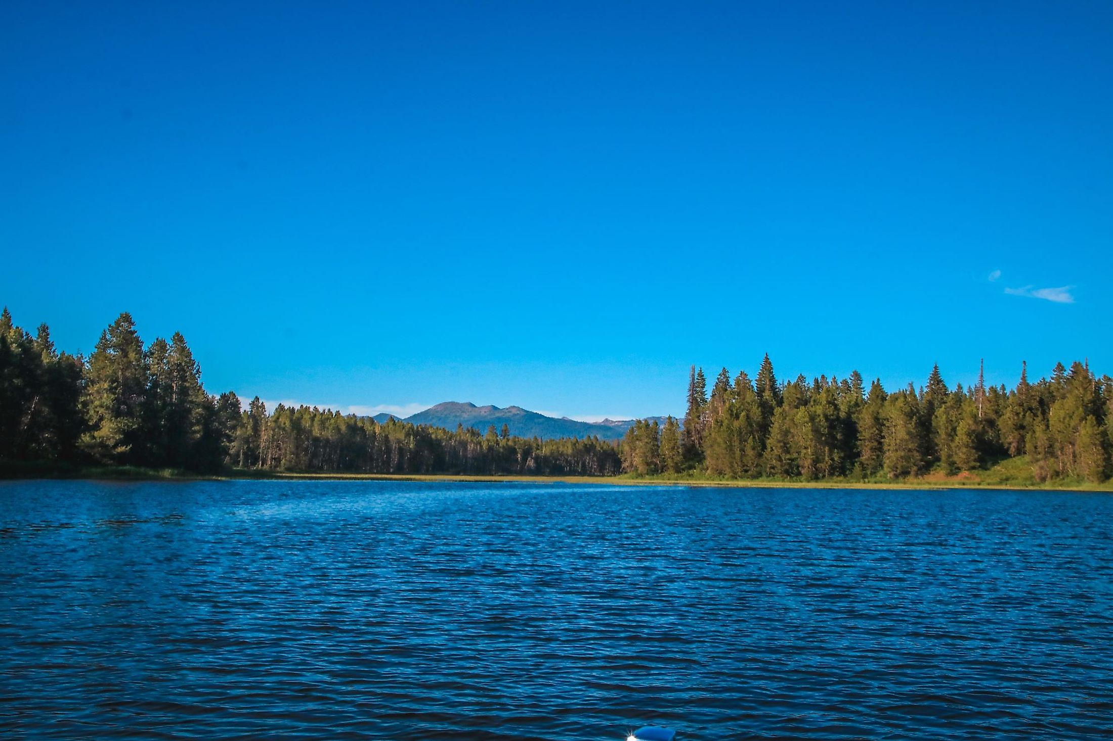 View of mountains and pine trees from Lake Cascade in Donnelly, Idaho. 