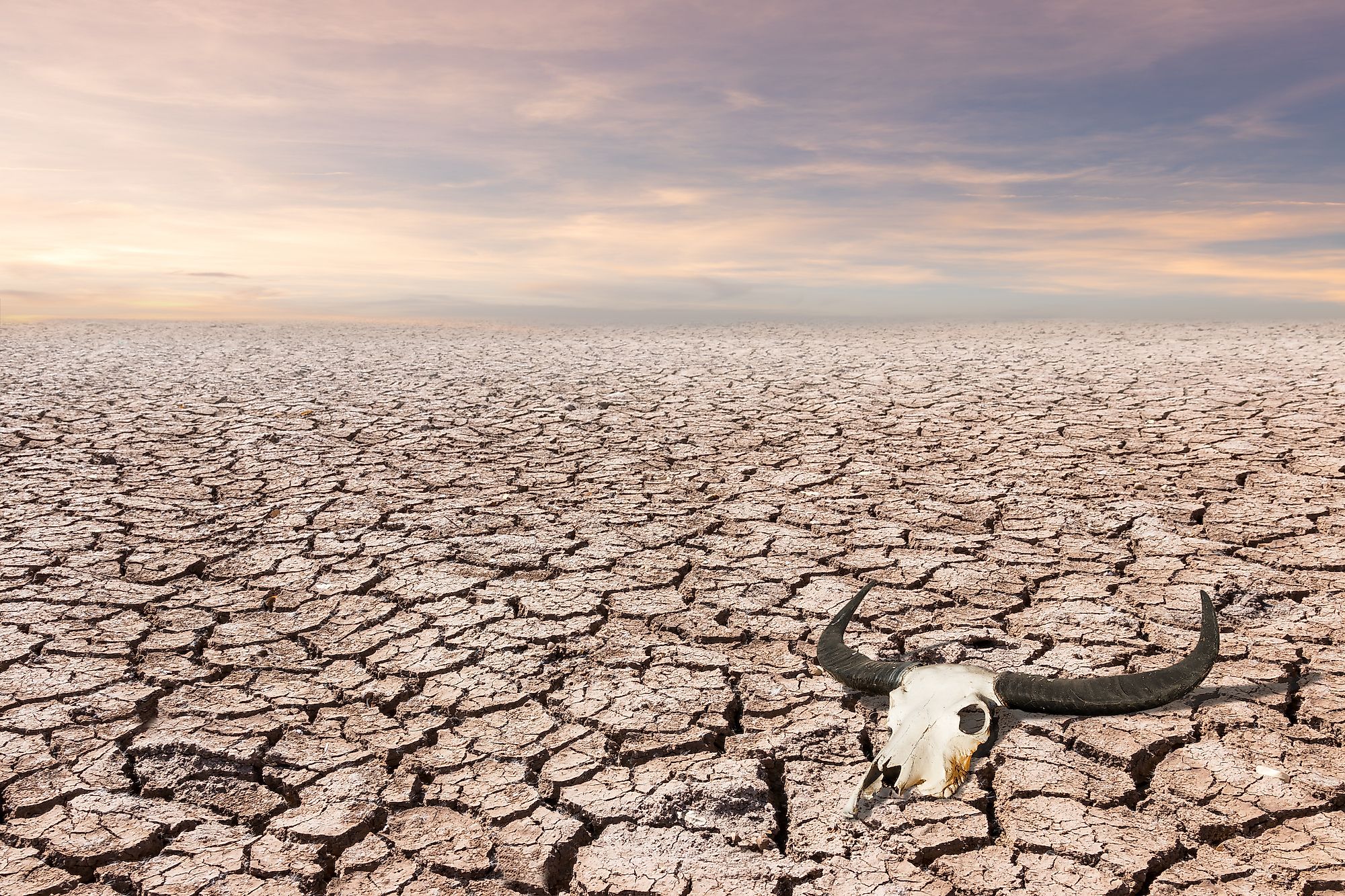 What Causes Famine? WorldAtlas