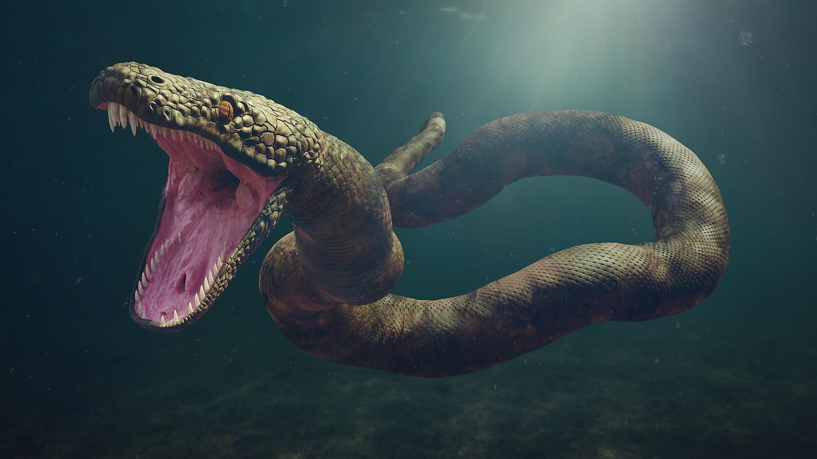 Illustration of Titanoboa, the biggest snake ever.
