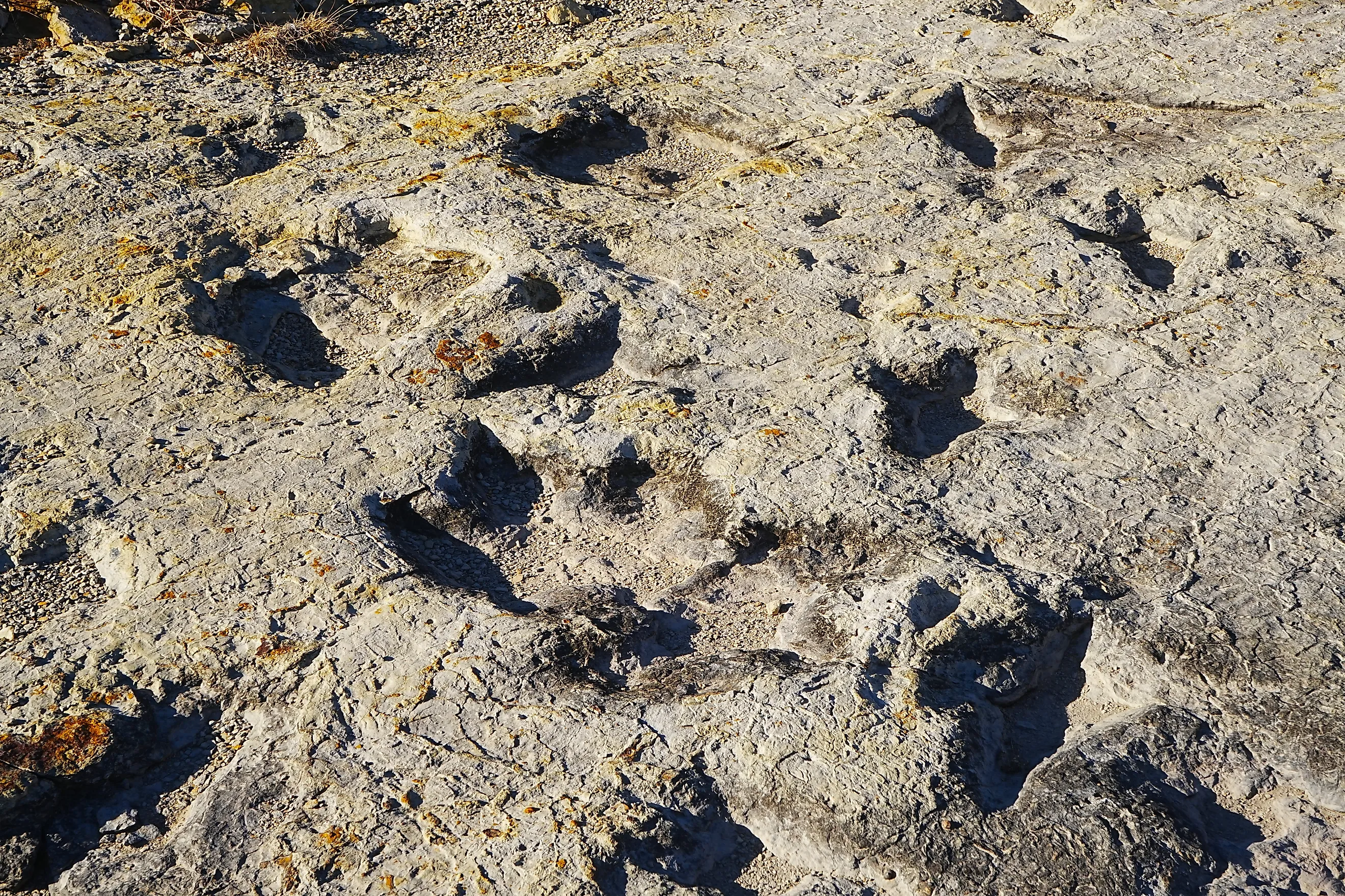 Clayton Lake State Park and Dinosaur Trackways, Clayton, New Mexico. 