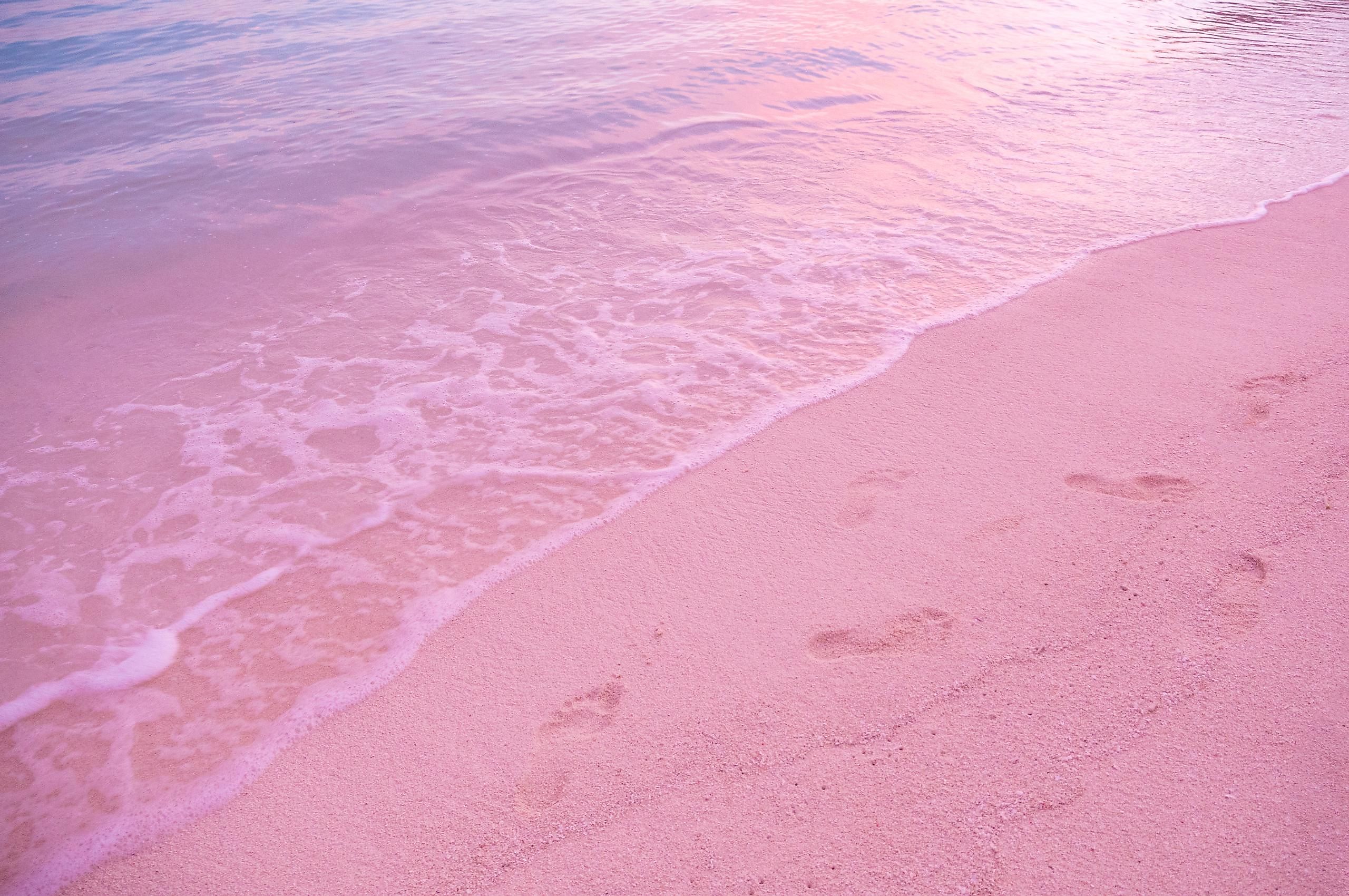 If you ever decide to visit the Bahamas, this beach should be on the list of places you will definitely want to visit.