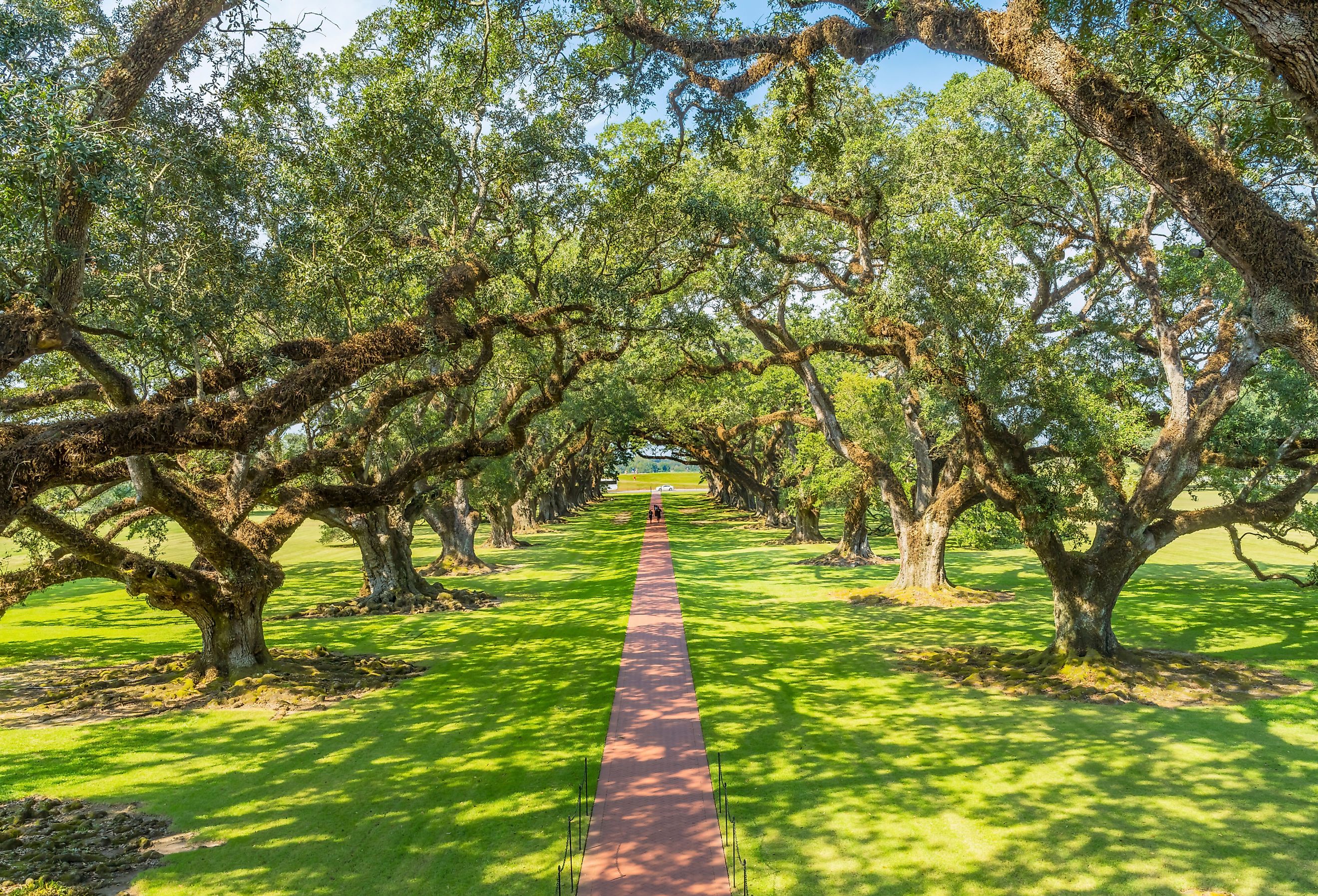 Oak Alley Plantation, Saint James Parish, Louisiana. Image credit Bill Perry via Shutterstock.