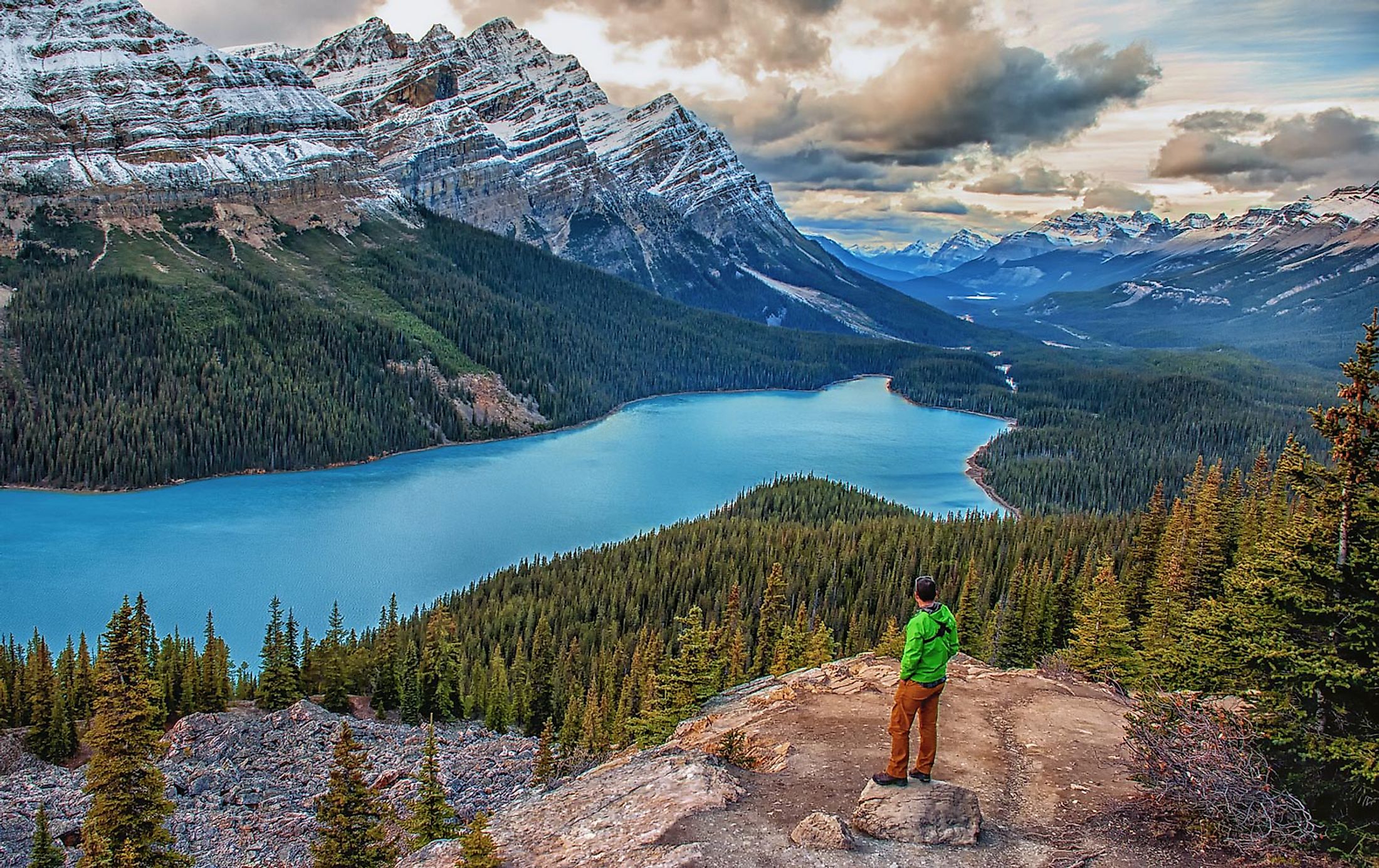 Peyto Lake in Banff National Park Alberta, Canada.