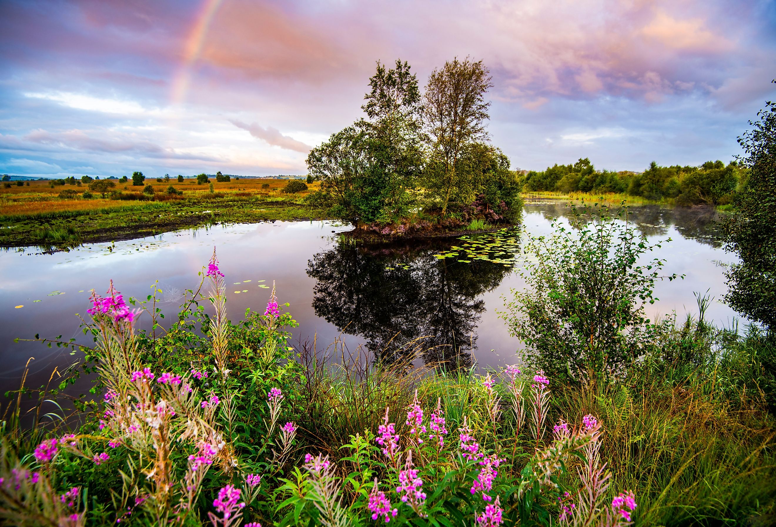 Beautiful lake and marsh landscape at Cors Caron National Nature Reserve, Tregaron, Ceredigion, Wales.