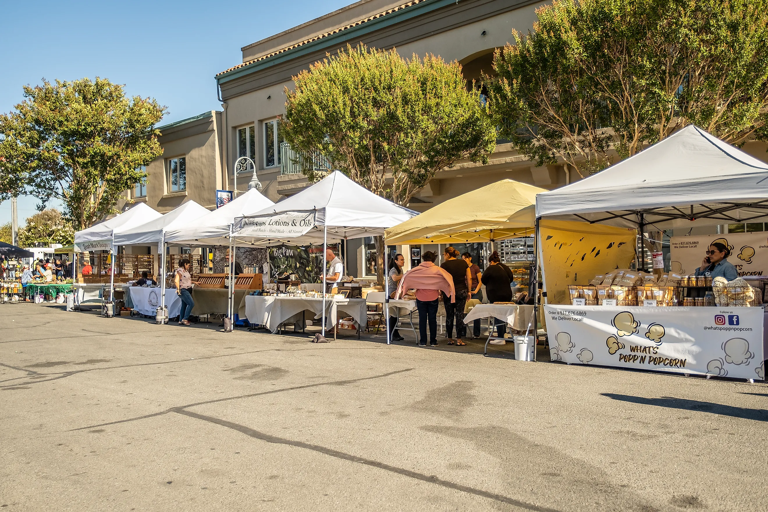 Various vendors at the Farmer's Market held Wednesday evenings in downtown Hollister.