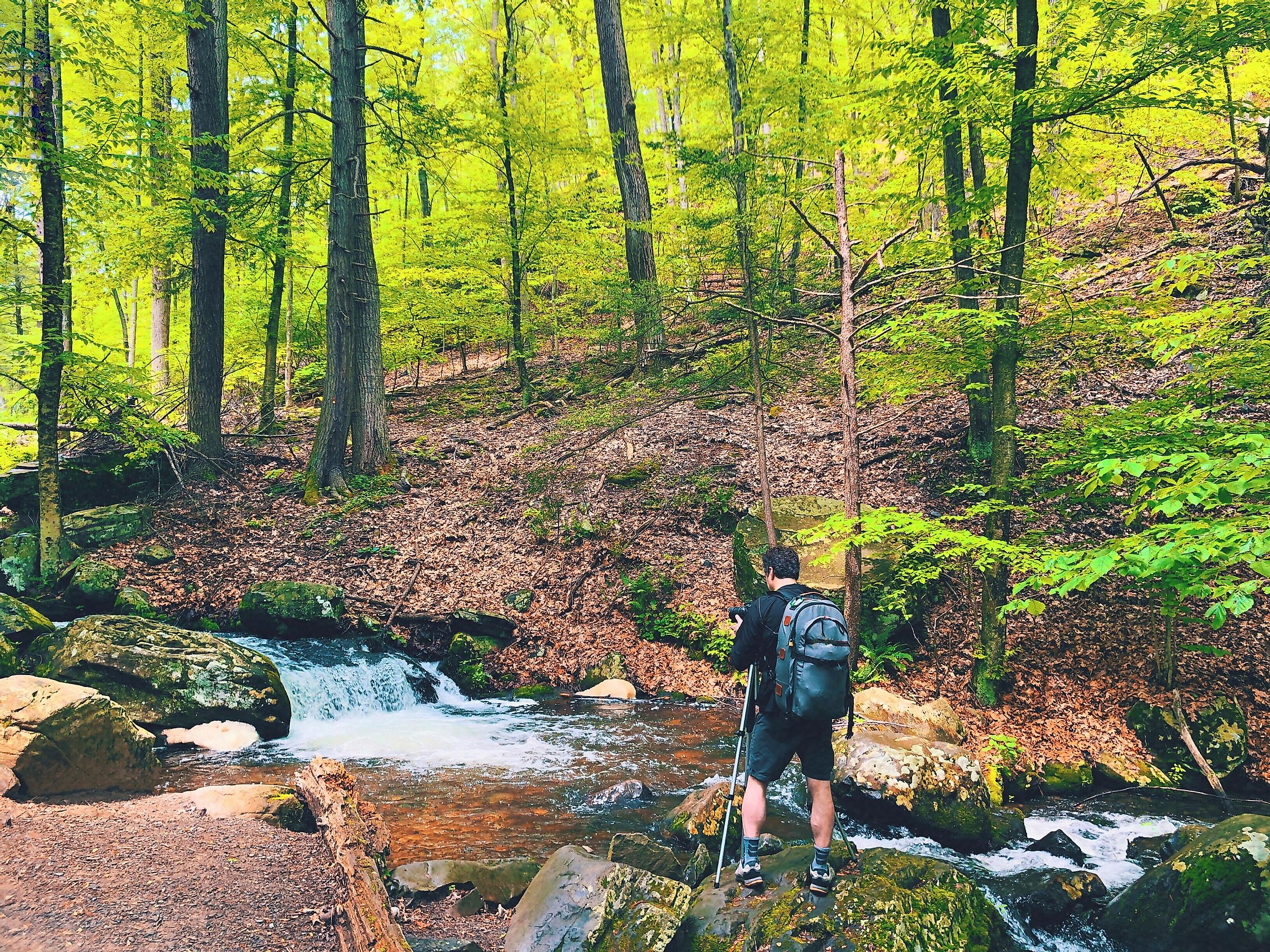 A hiker hiking through a nature trail in Pennsylvania.