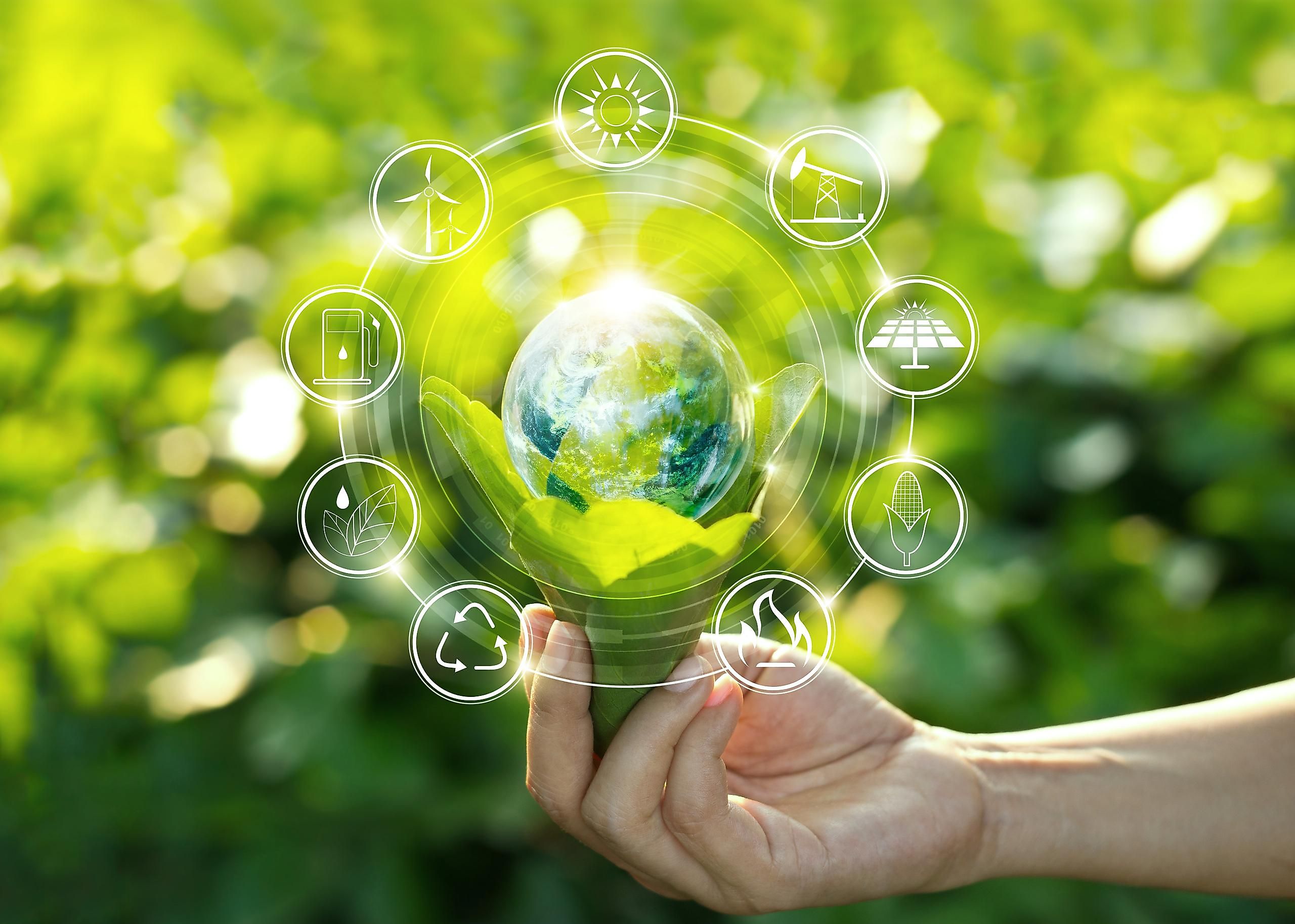 Ecology is interested in biodiversity and how different organisms behave in a specific environment.