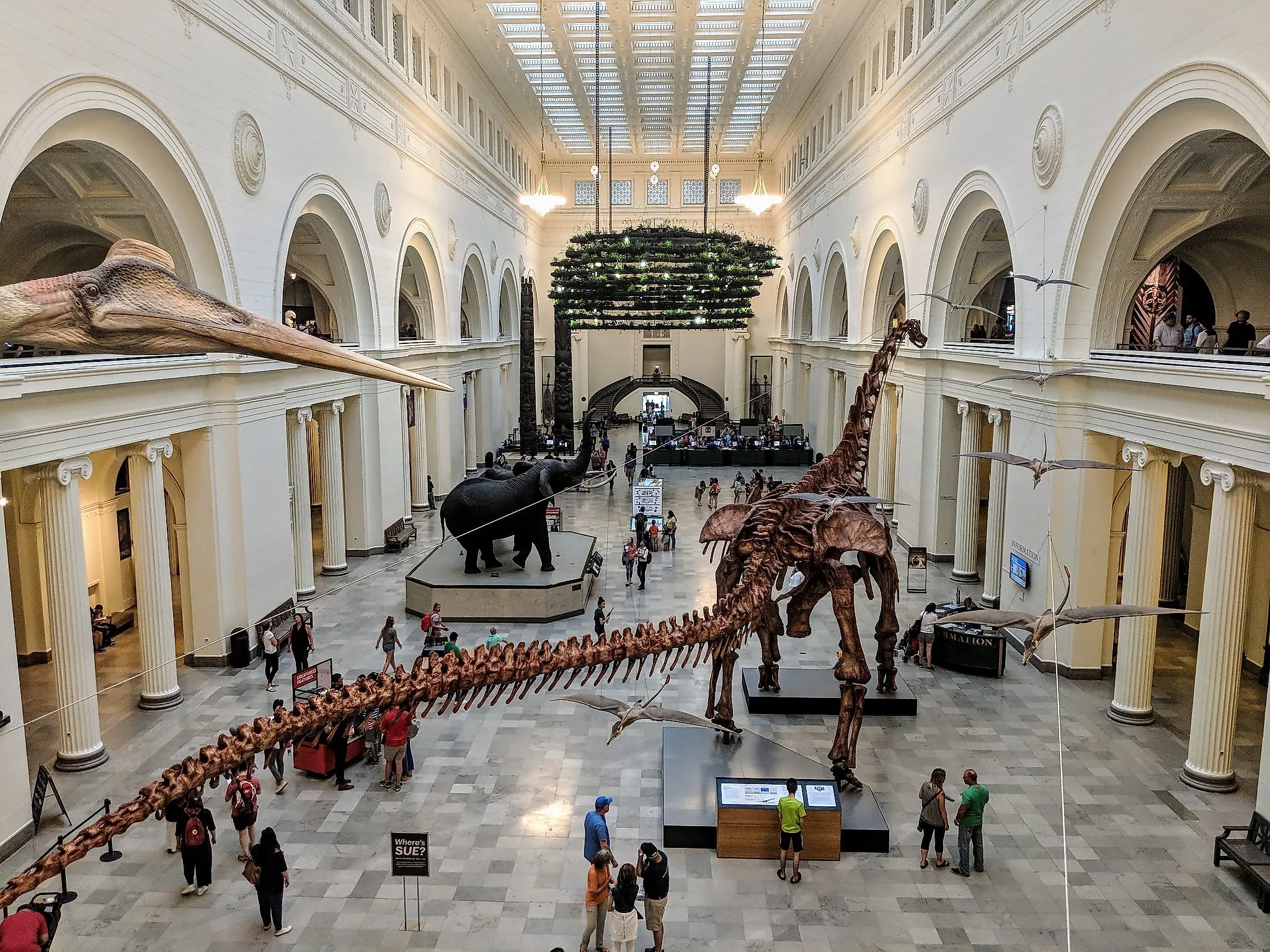 Field Museum, Chicago, Illinois. Image credit: Travis Wise/Flickr.com