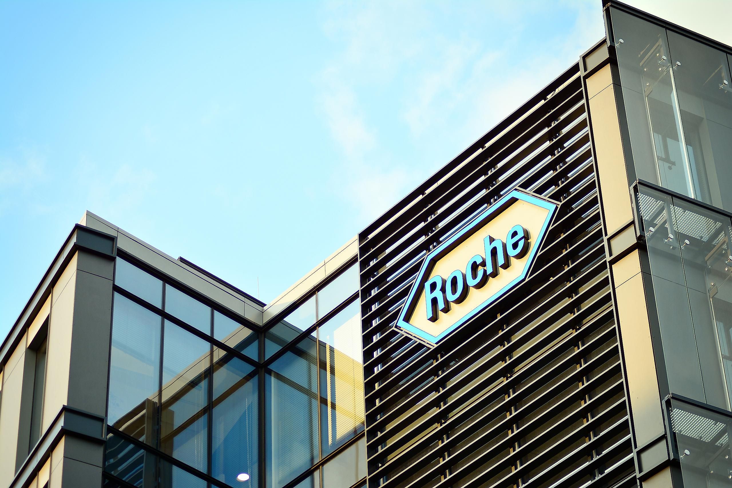 Roche. Image credit: Grand Warszawski / Shutterstock.com