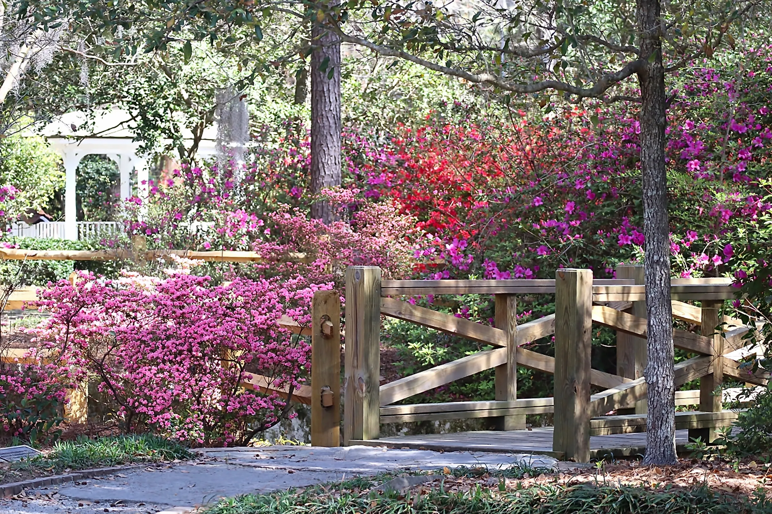 Azalea Park in Summerville, South Carolina (Credit: Al Munroe via Shutterstock)