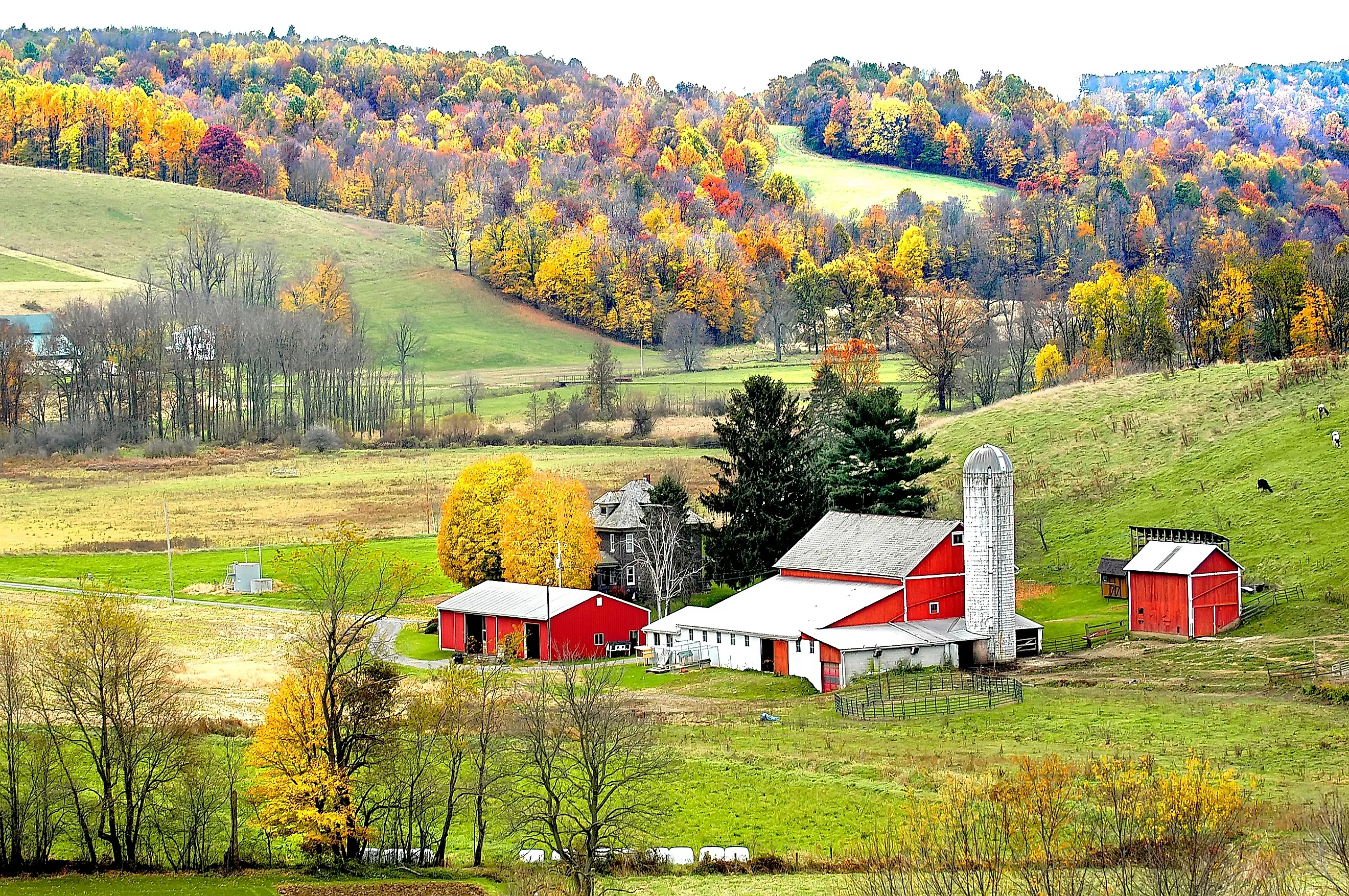 Fall colors in Millersburg, Ohio. Image credit Dennis MacDonald via Shutterstock