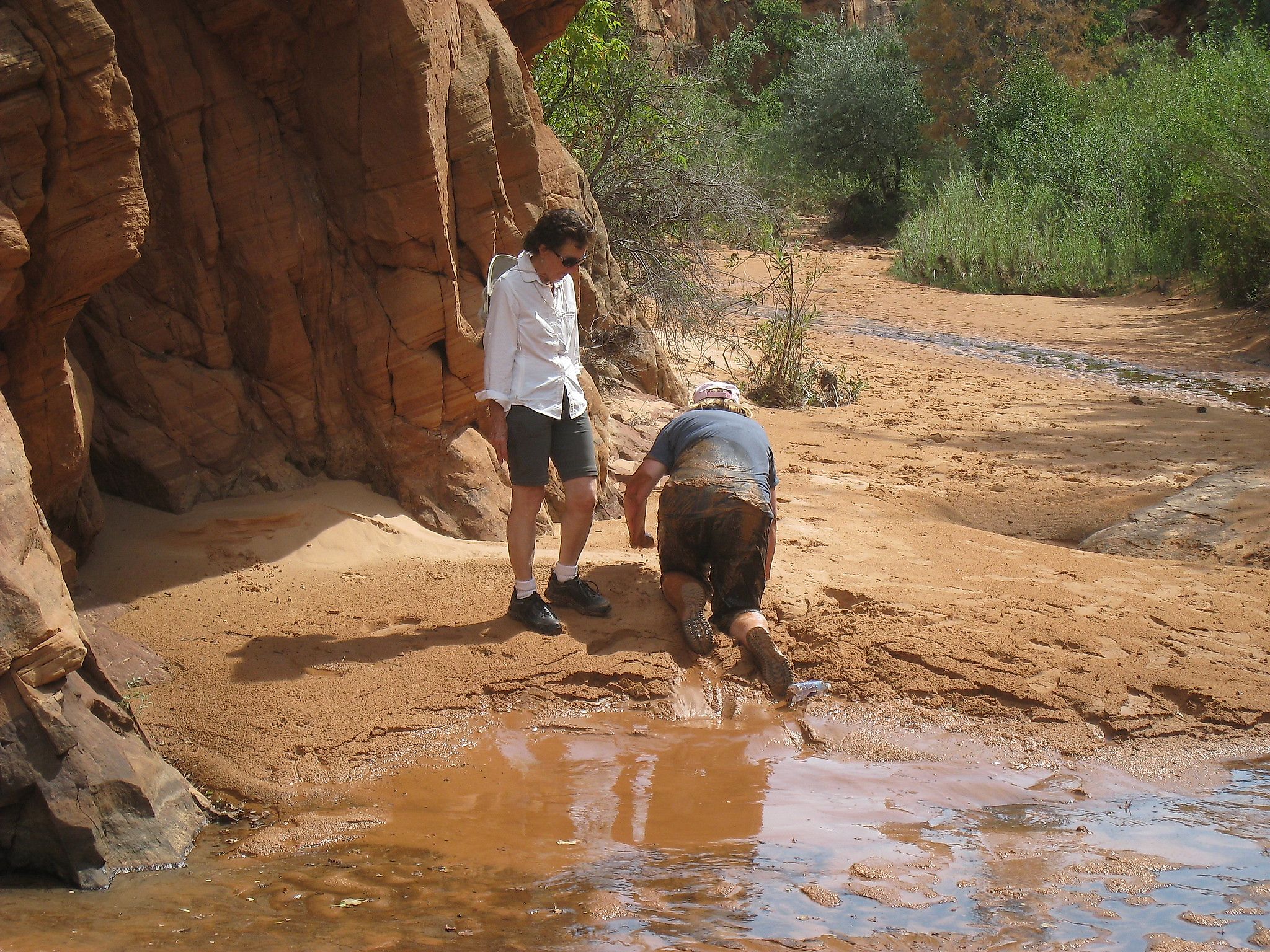 How To Get Out Of Quicksand WorldAtlas