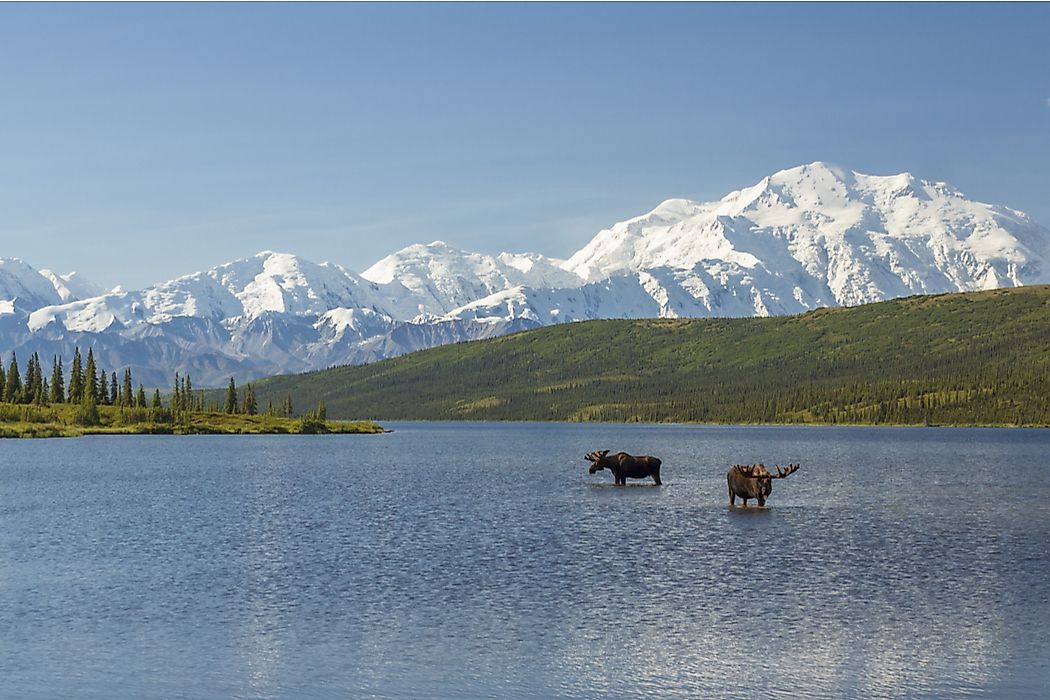 View of part of the Alaska Range in Denali National Park, Alaska.