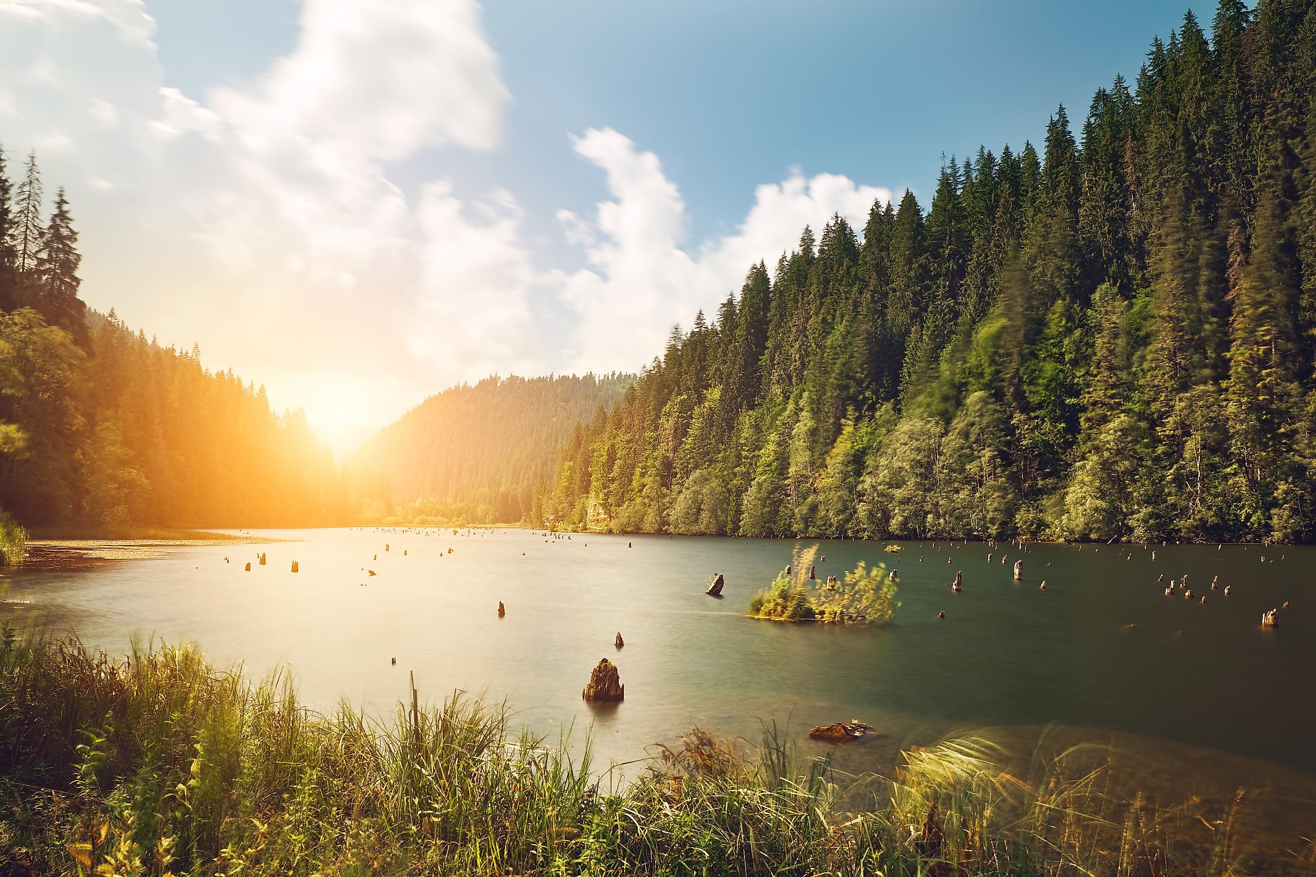Much of Canada is covered in forests.