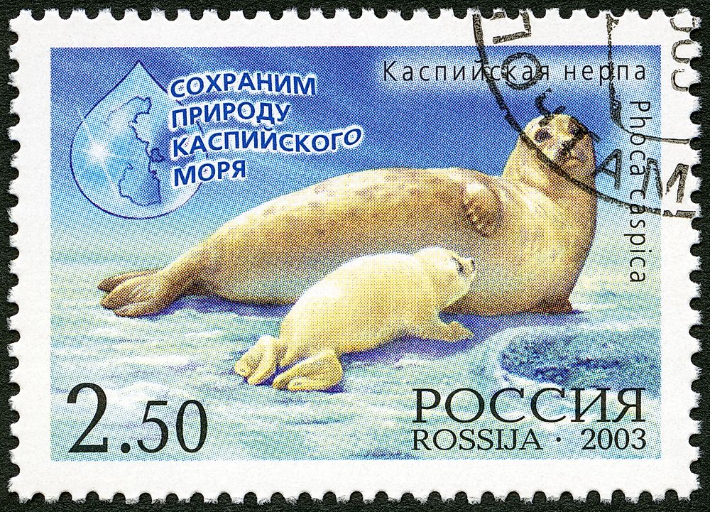 Photo credit: Olga Popova / Shutterstock.com.