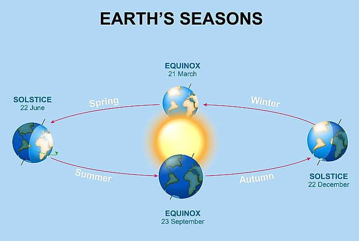 Did You Know