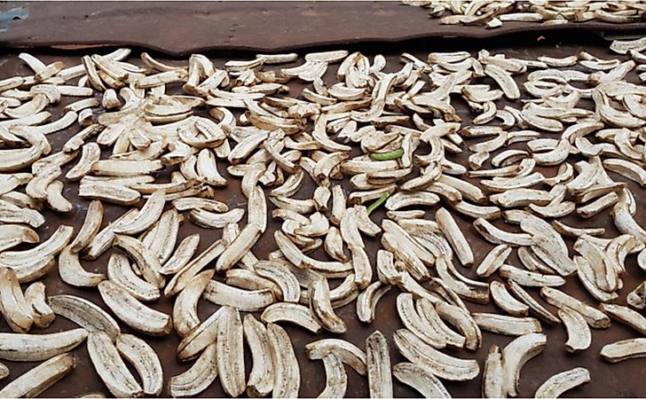 Drying Matooke(Bananas) in Buvuma Islands, central Uganda
