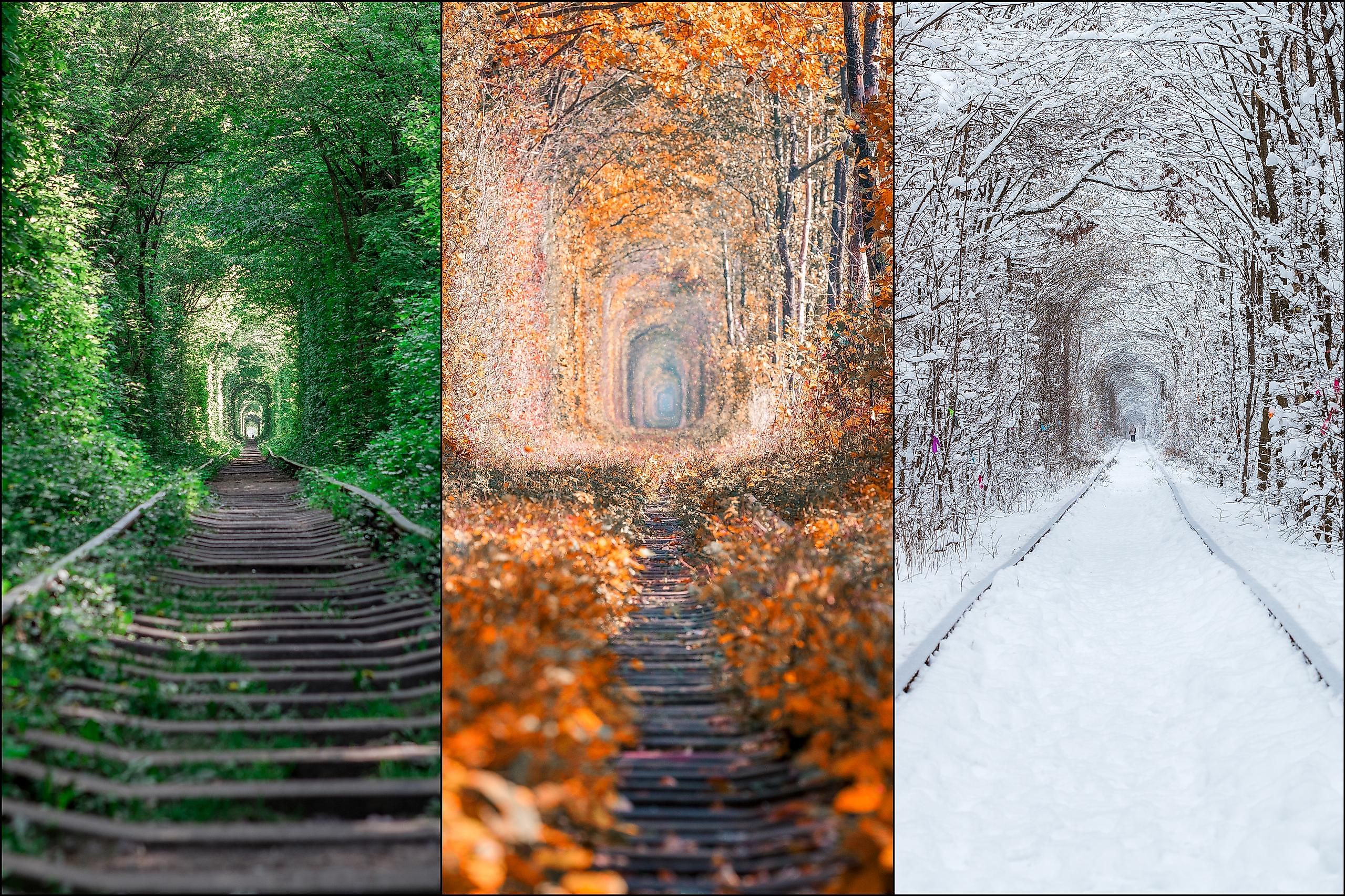 The Tunnel of Love is open to the public during all seasons.