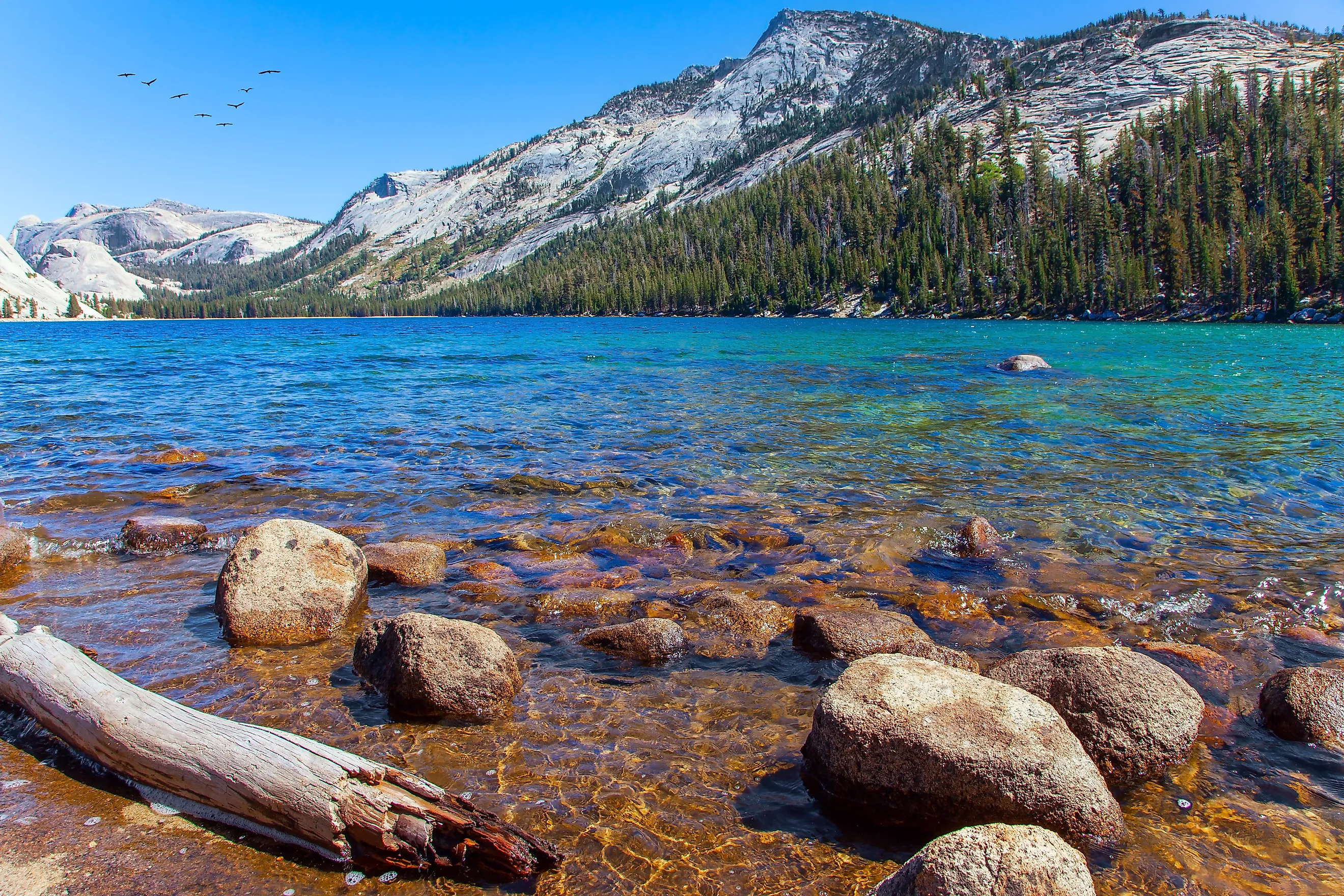 Shallow Tenaya lake with clear water along the Tioga Road.