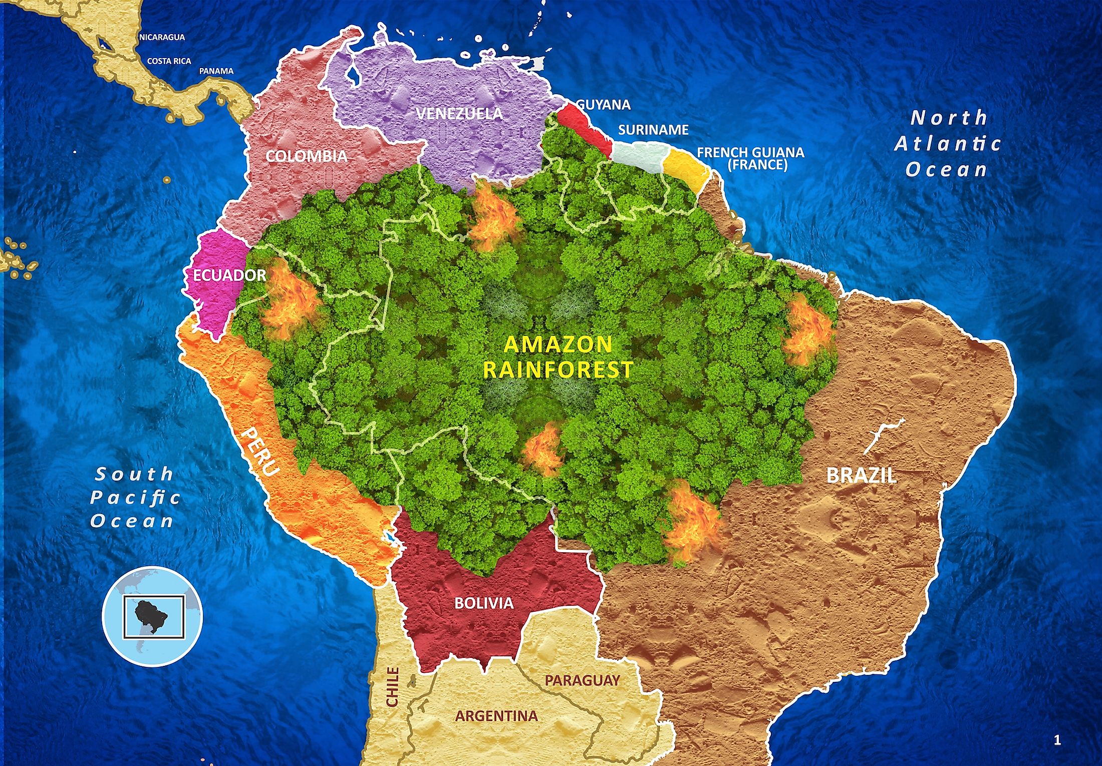 The Amazon Rainforest On A Map - Inge Regine