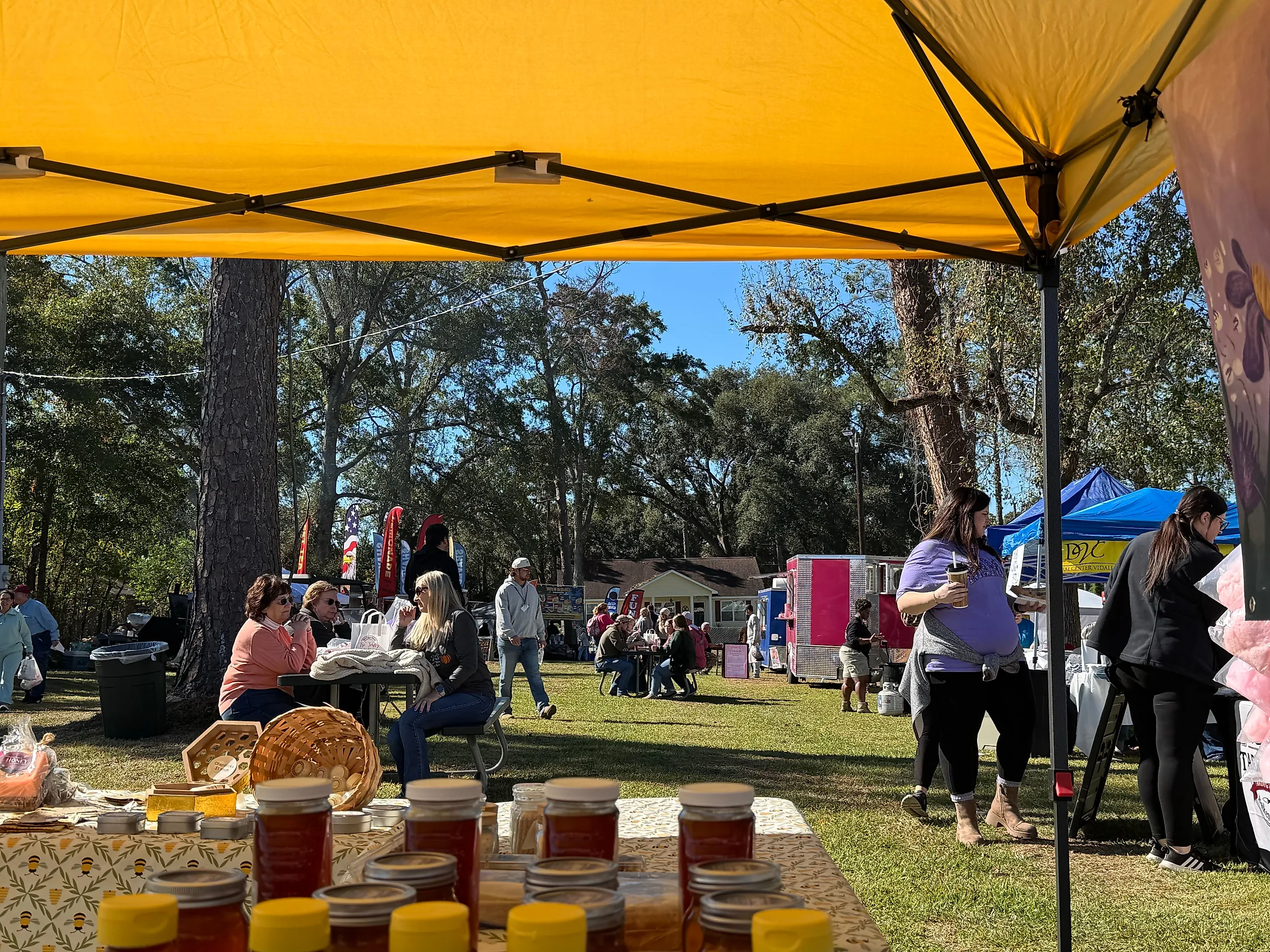 51st annual Million Pines Arts and Crafts Festival in Soperton, Georgia, via MaggieMyst / Shutterstock.com