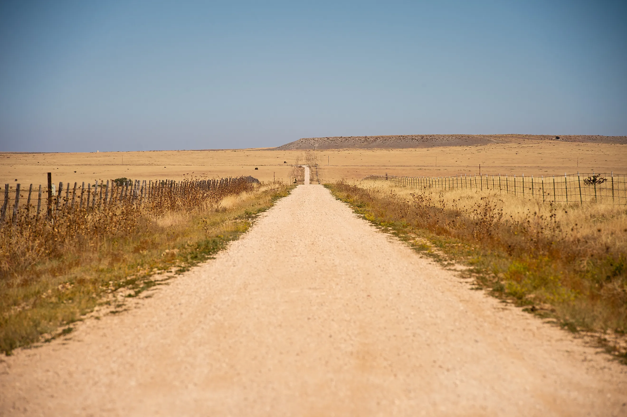 Road leading to Mills Canyon in Harding County, New Mexico.