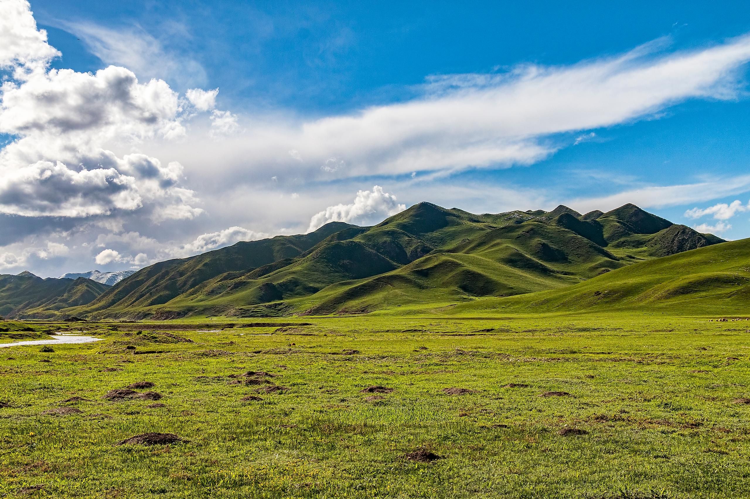 Open Prairie Grasslands in Tibetan Amdo Region of Central China.