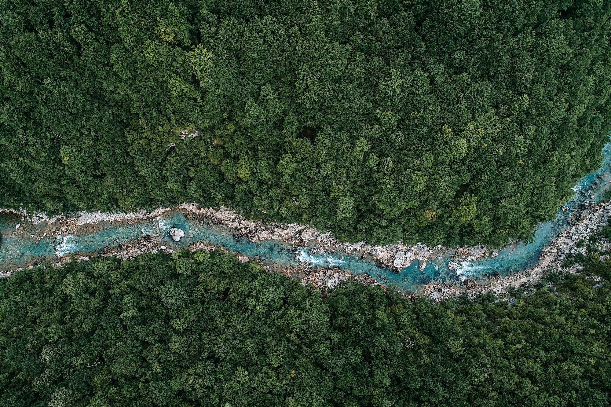 Forests are the source of many rivers.