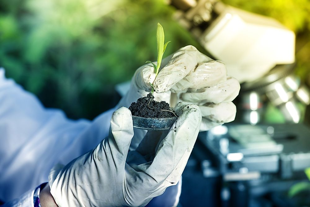 Soil studies are often more complex than they are simple.