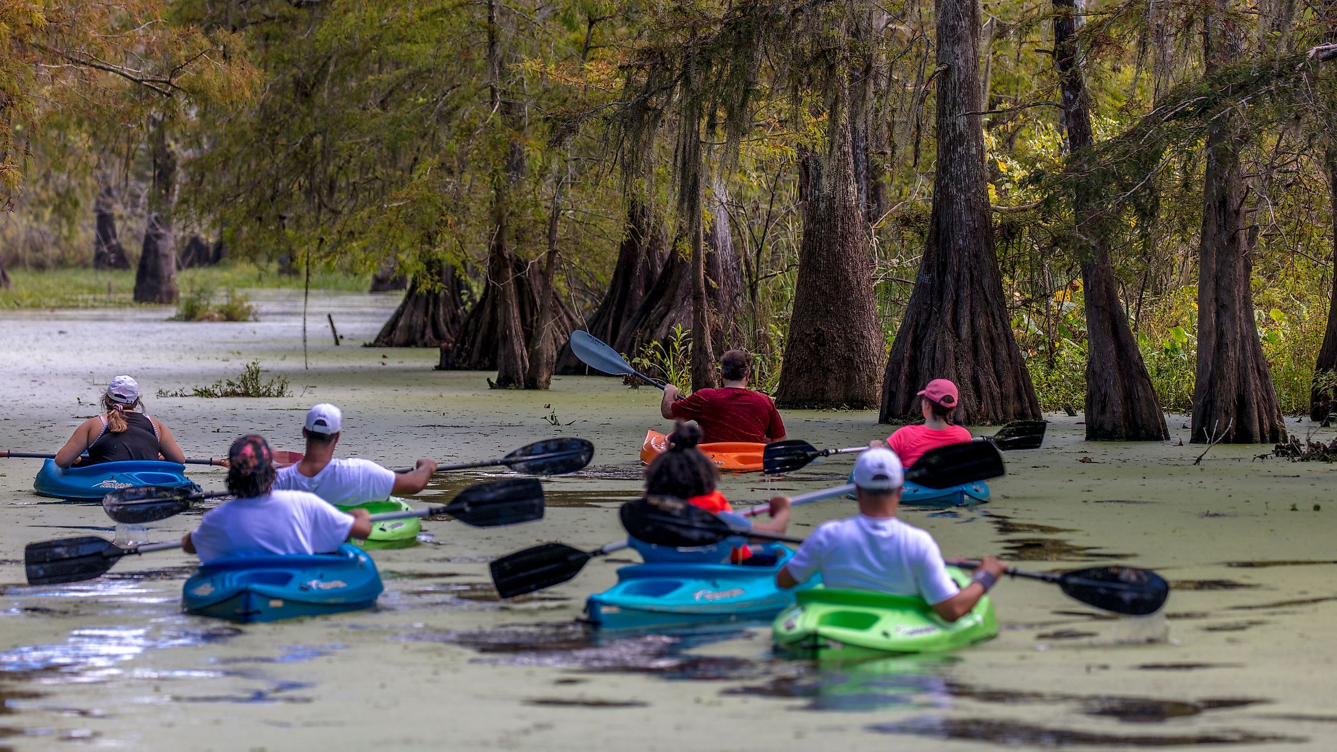Champagne's Cajun Swamp Tours in Breaux Bridge, Louisiana.