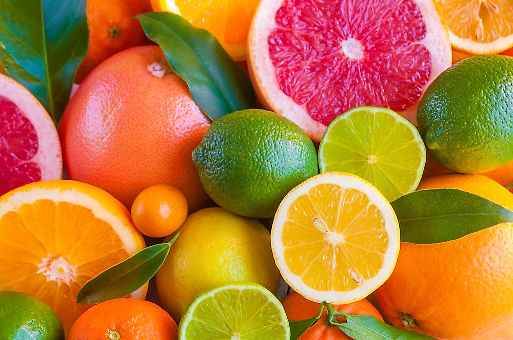 Lemons, grapefruit, oranges and limes are among the citrus fruit types of the world.