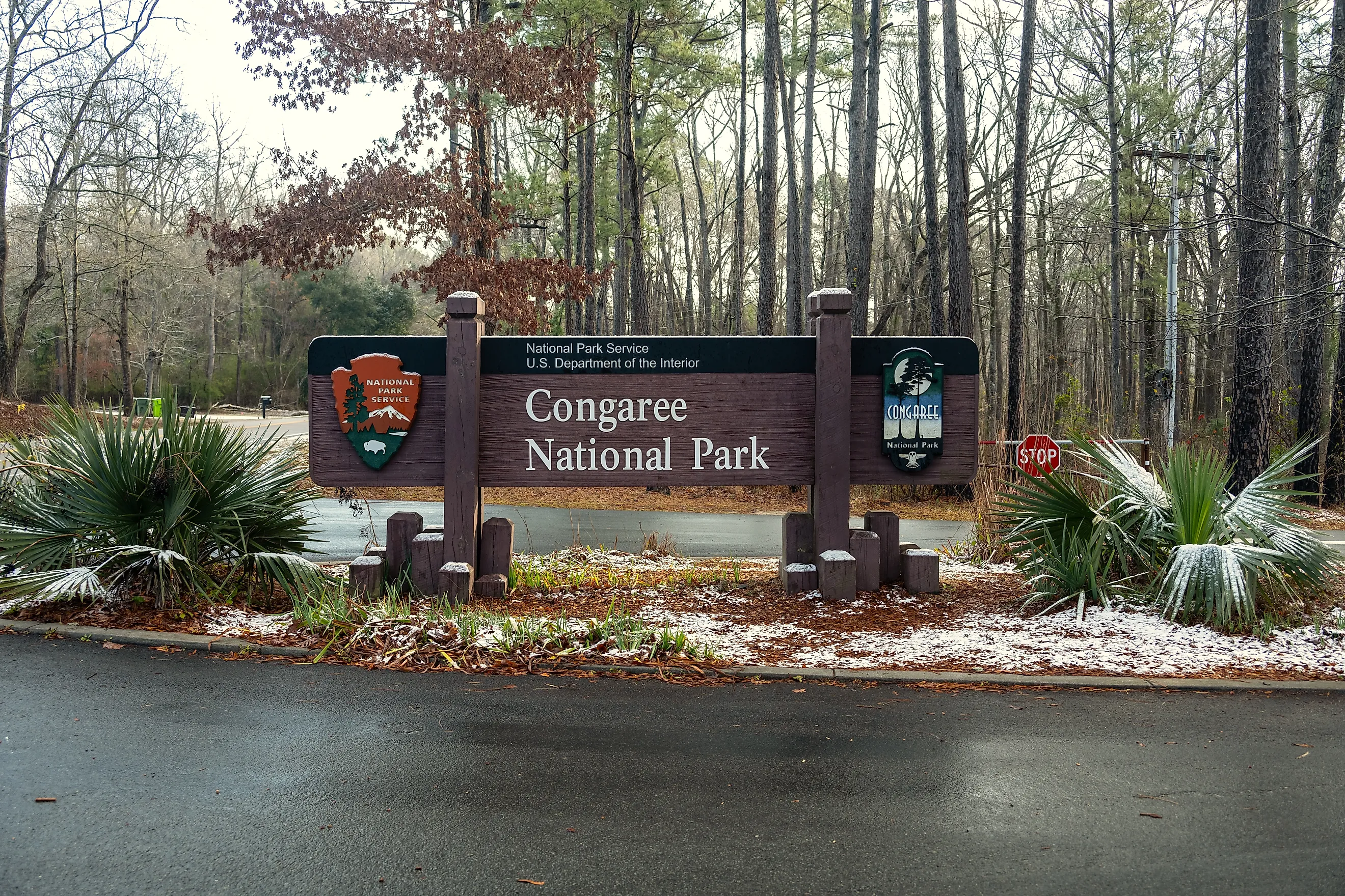 Congaree National Park, South Carolina.