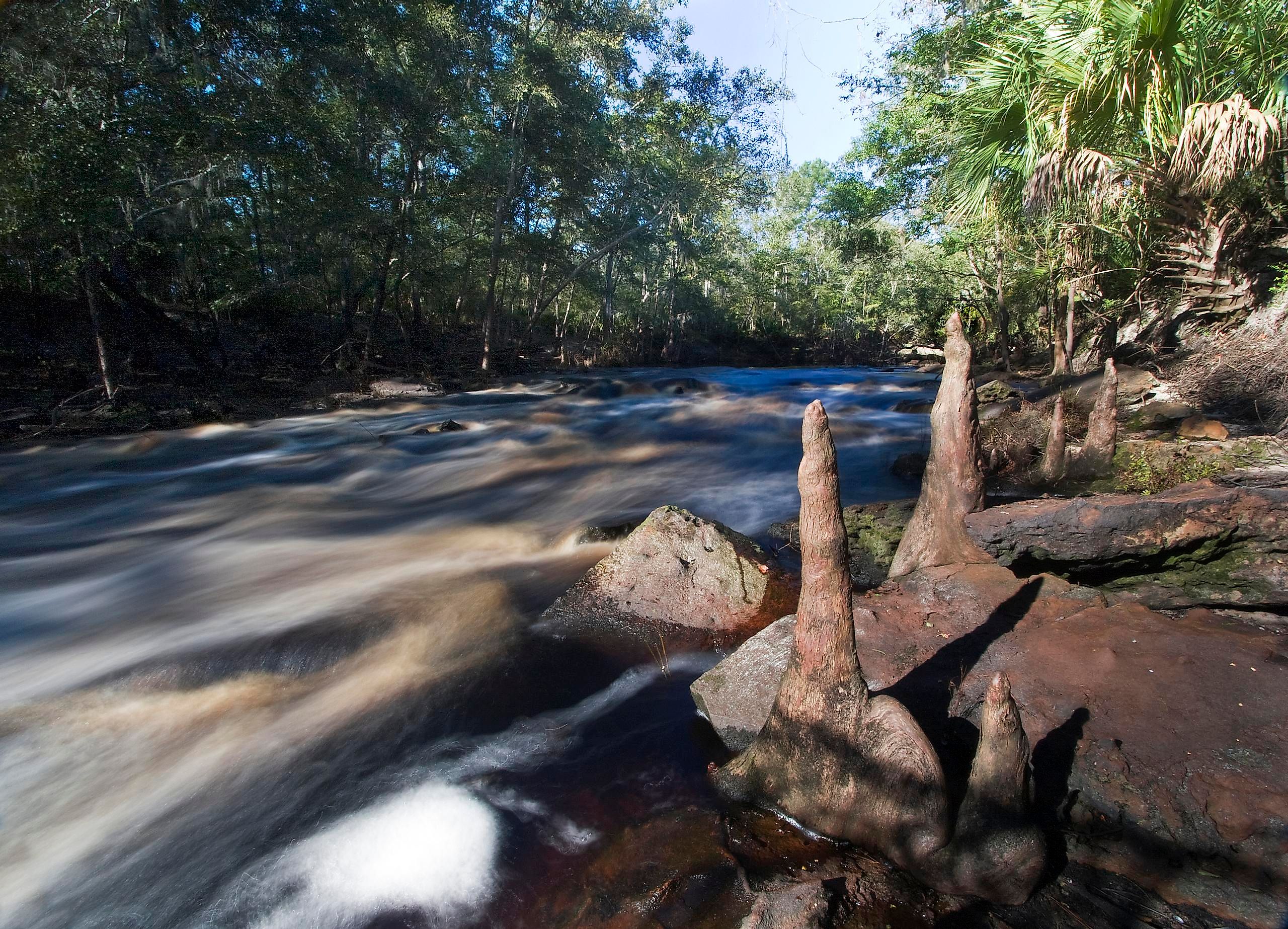 Rapids in the Aucilla River