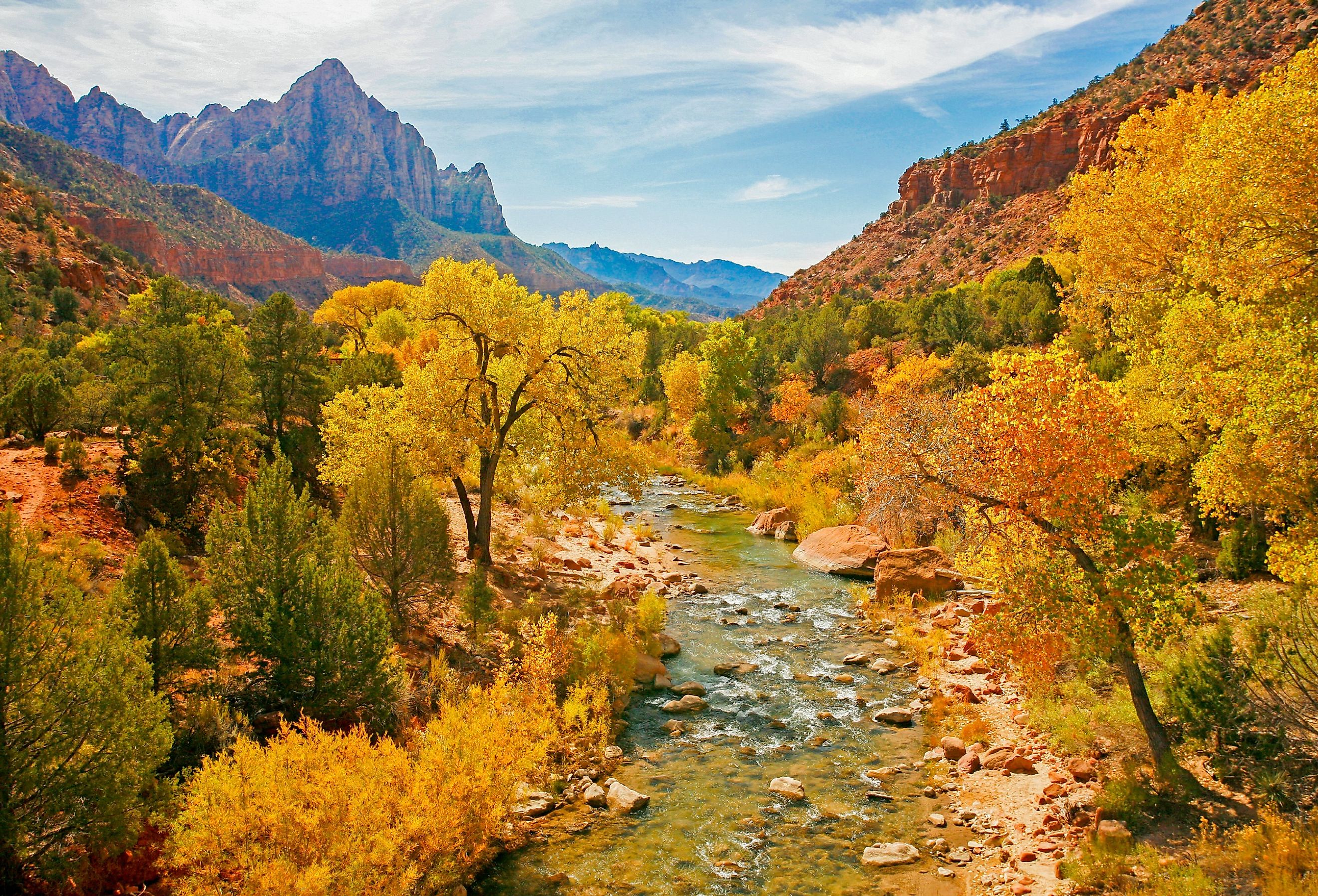The Virgin River in Zion National Park, Utah during the fall season.