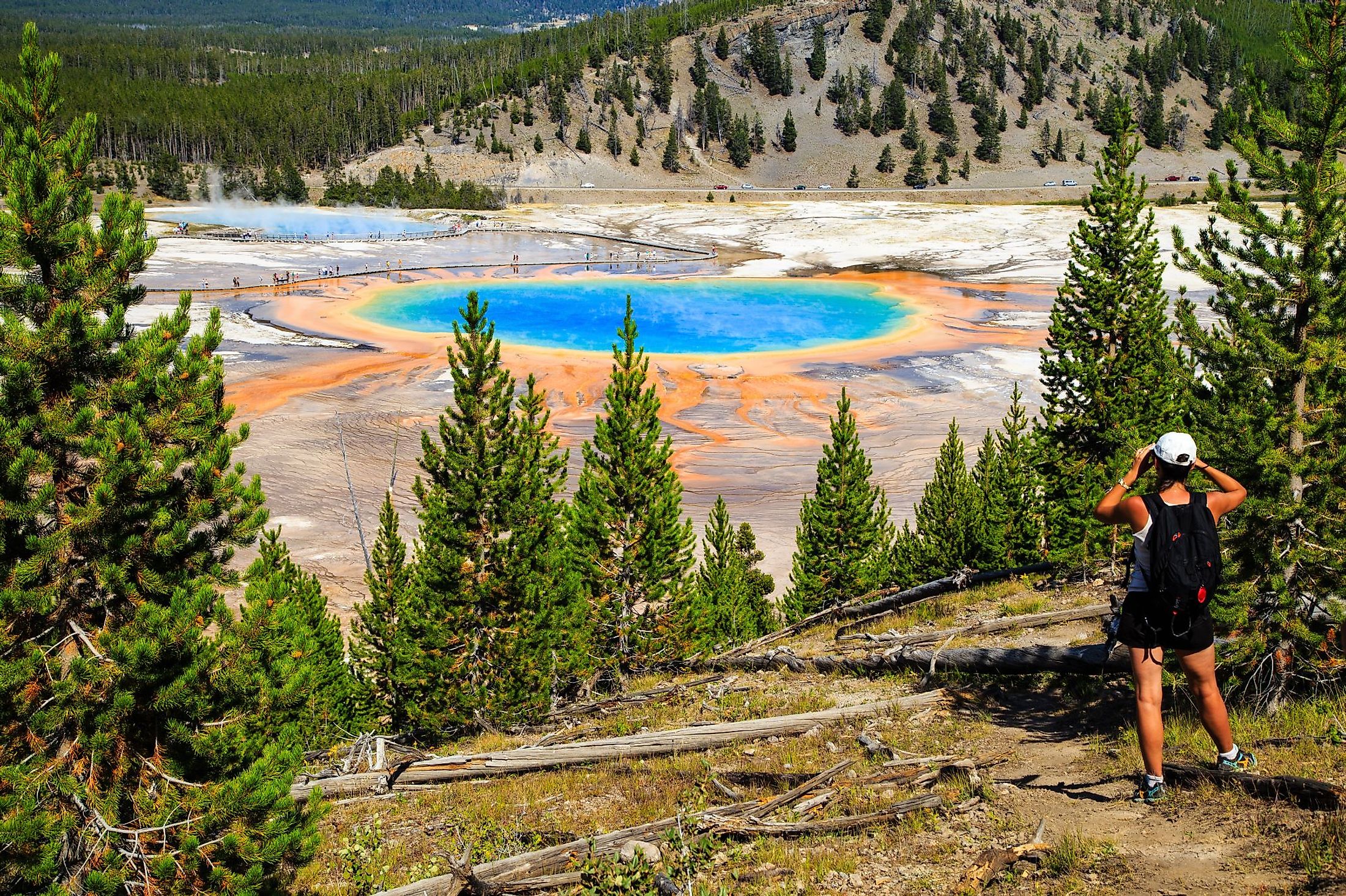 A hiker looking down on the Grand Prismatic Spring in Yellowstone National Park. 