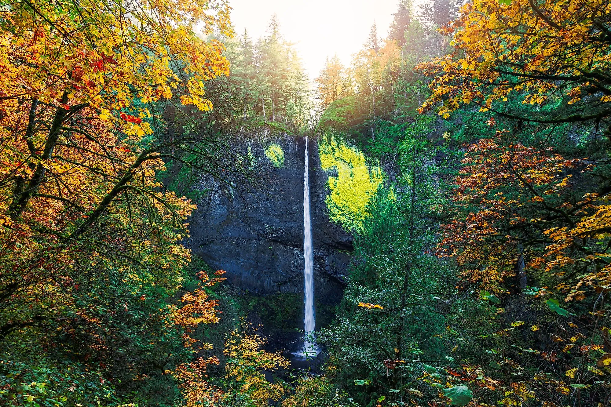 Scenic fall view of the Latourell Falls along the Columbia River Gorge in Oregon. 