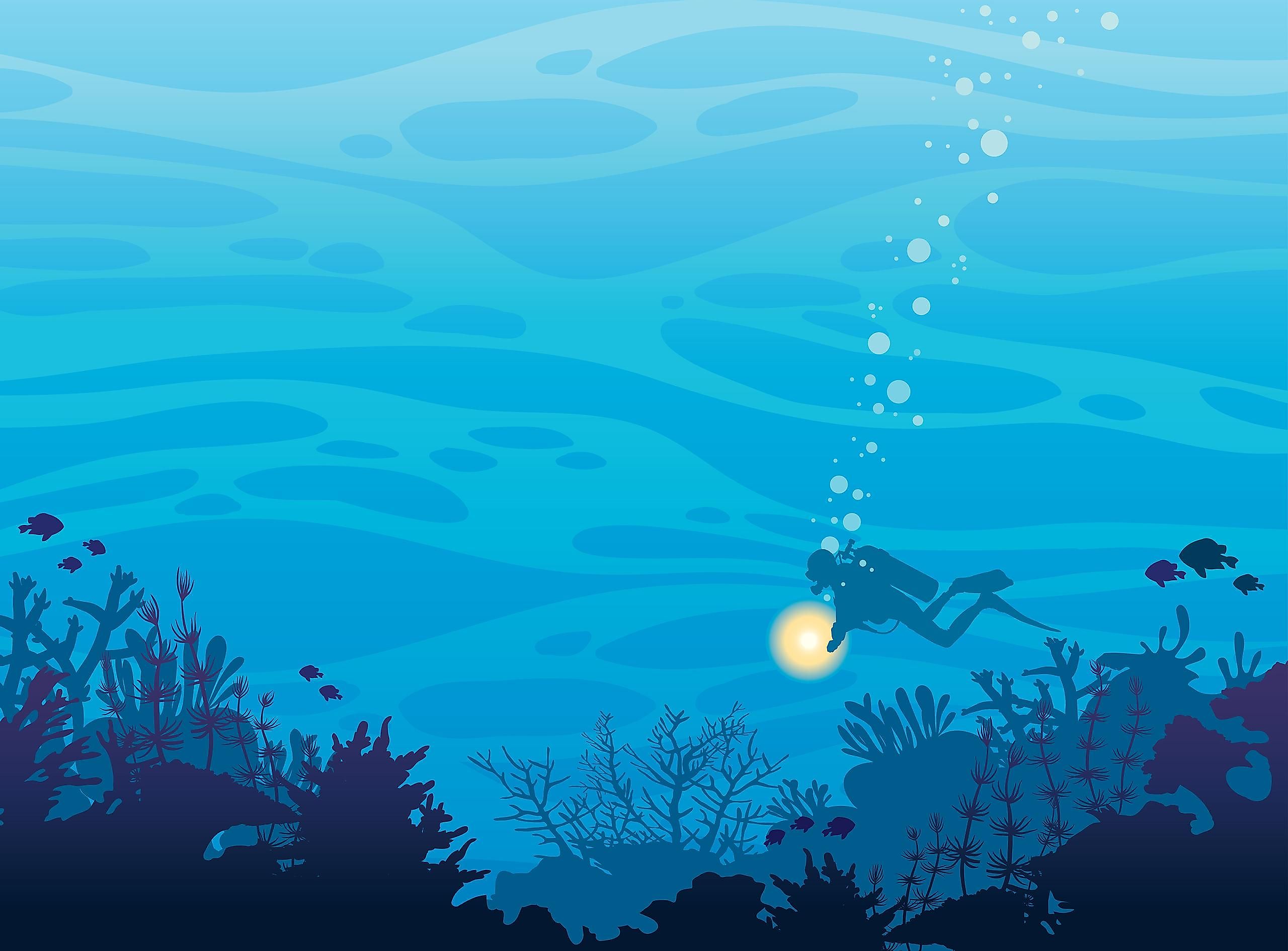 The oceans cover 70% of our planet’s surface, and reaching deep down where there is no light to investigate, is not an easy task.
