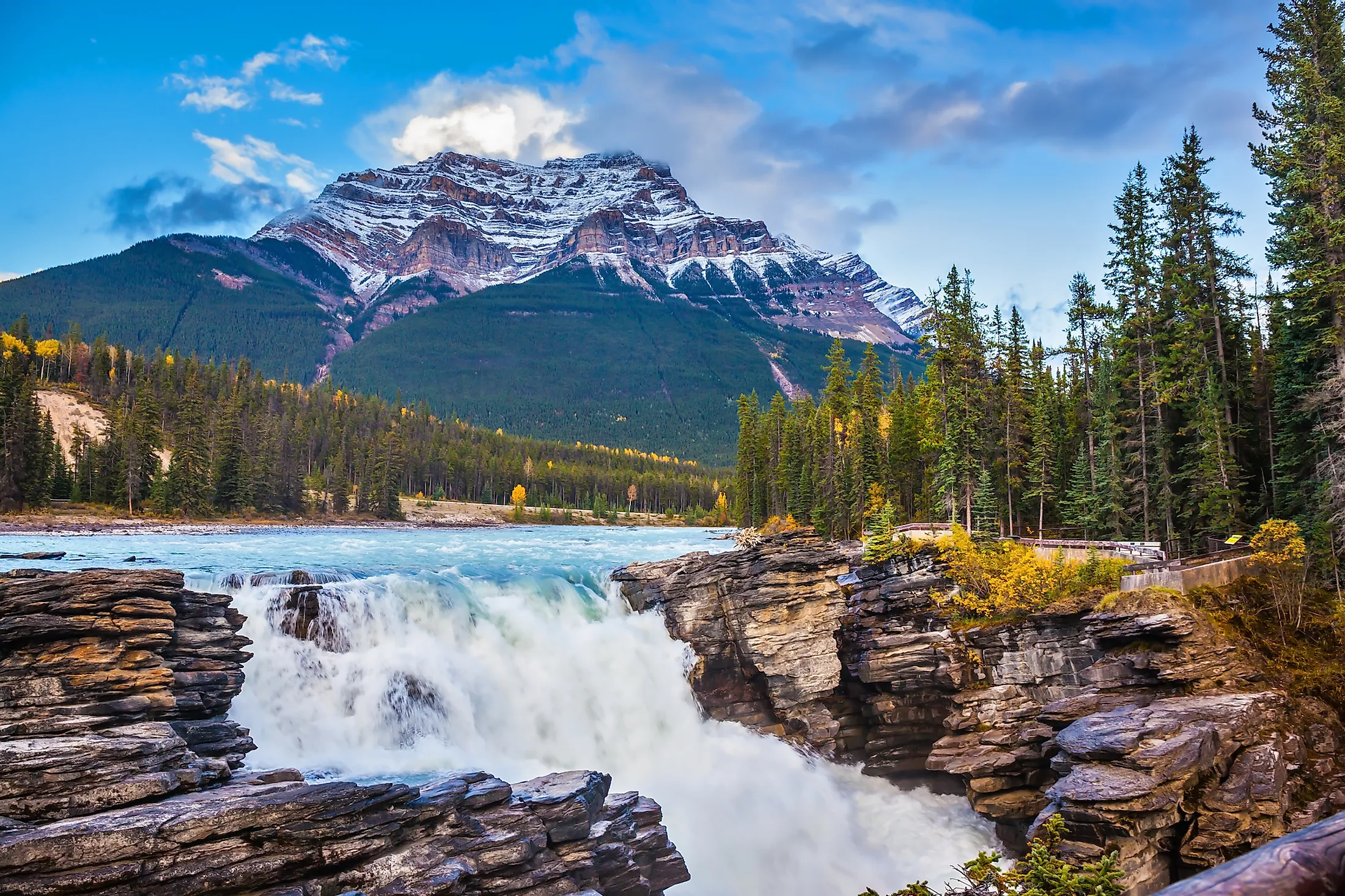 Athabasca Falls near Jasper, Alberta.