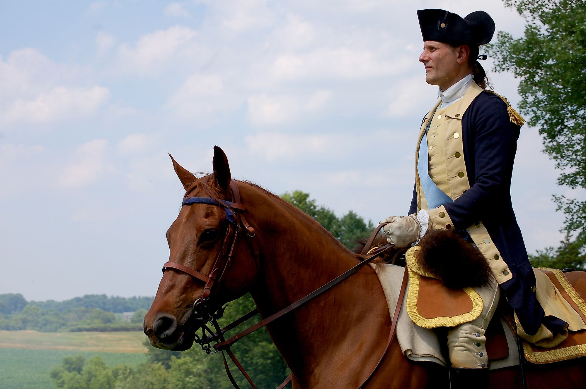 Horseheads derives its name from the American Military Horse. Editorial credit: Daniel M. Silva / Shutterstock.com