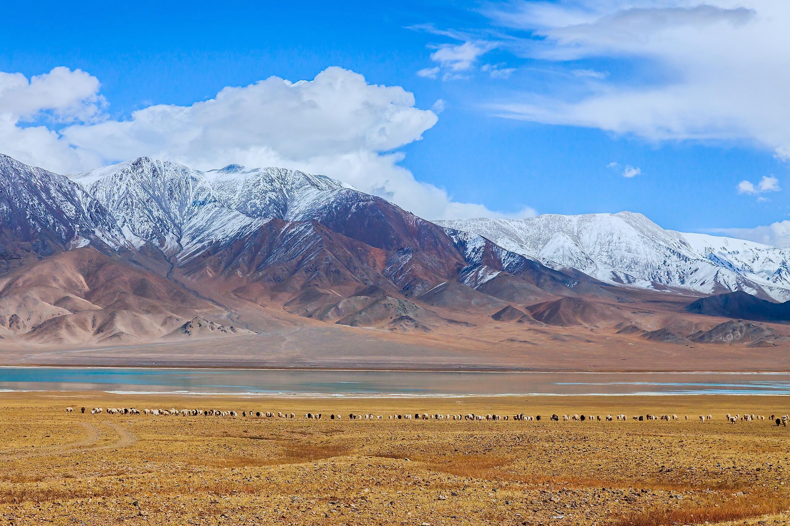 The beautiful Tibetan Plateau. 