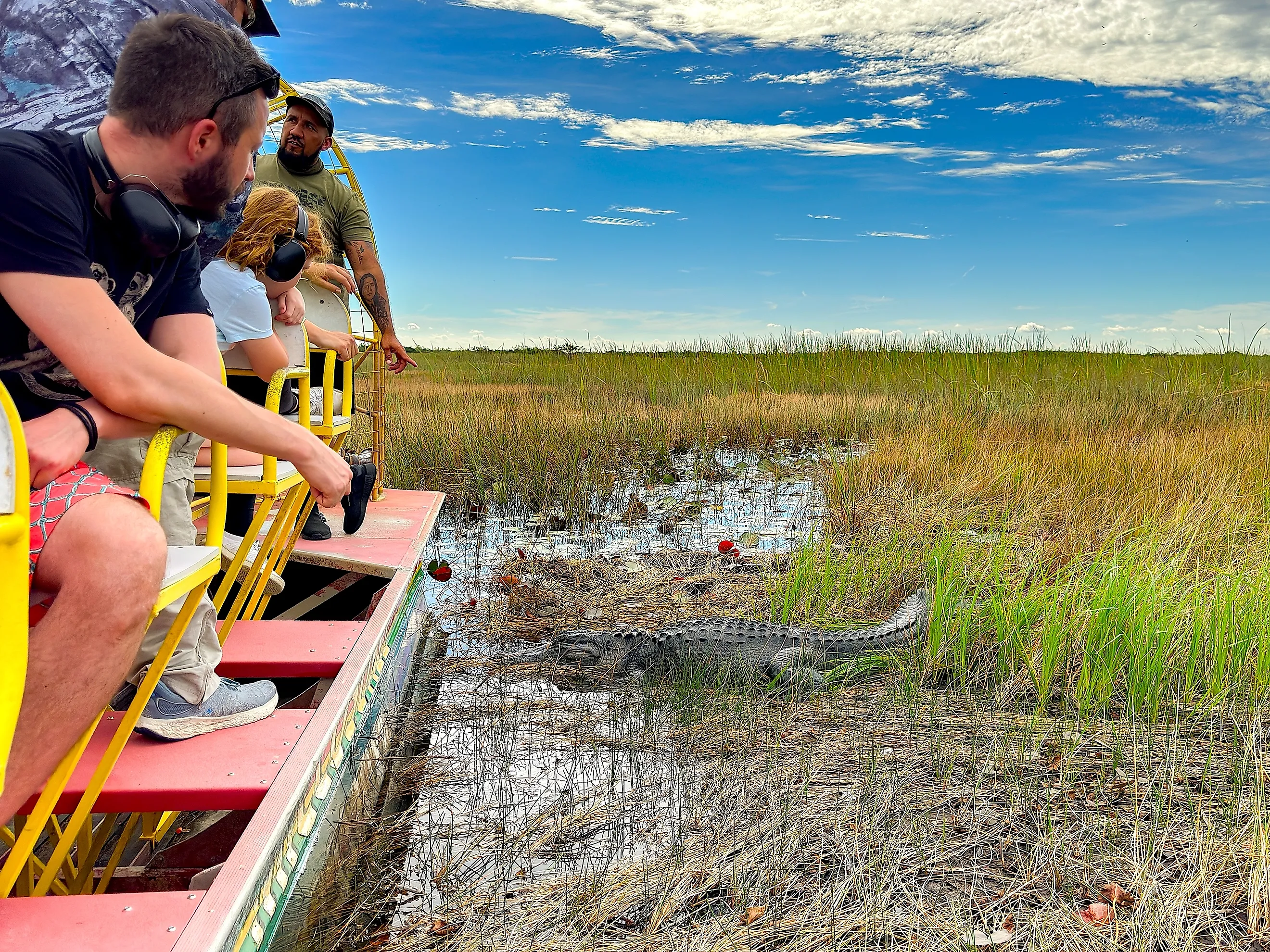 Tourists on an airboat ride looking at an alligator among reeds in the Everglades National Park, Florida. Image credit: Ceri Breeze / Shutterstock.com.