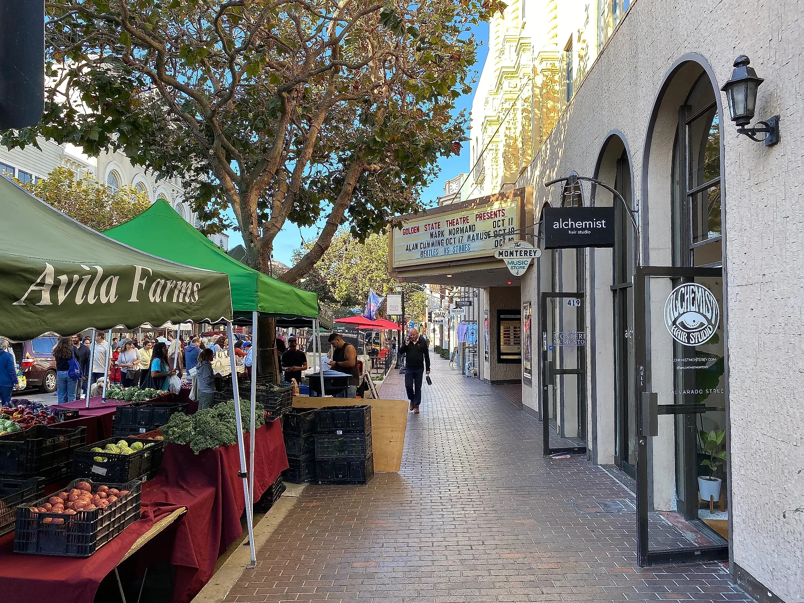 Tuesday Farmers Market on Alvarado Street. Photo: Andrew Douglas