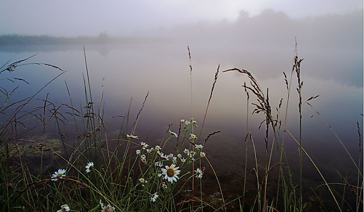 The fog in Big Bone Lick State Park.